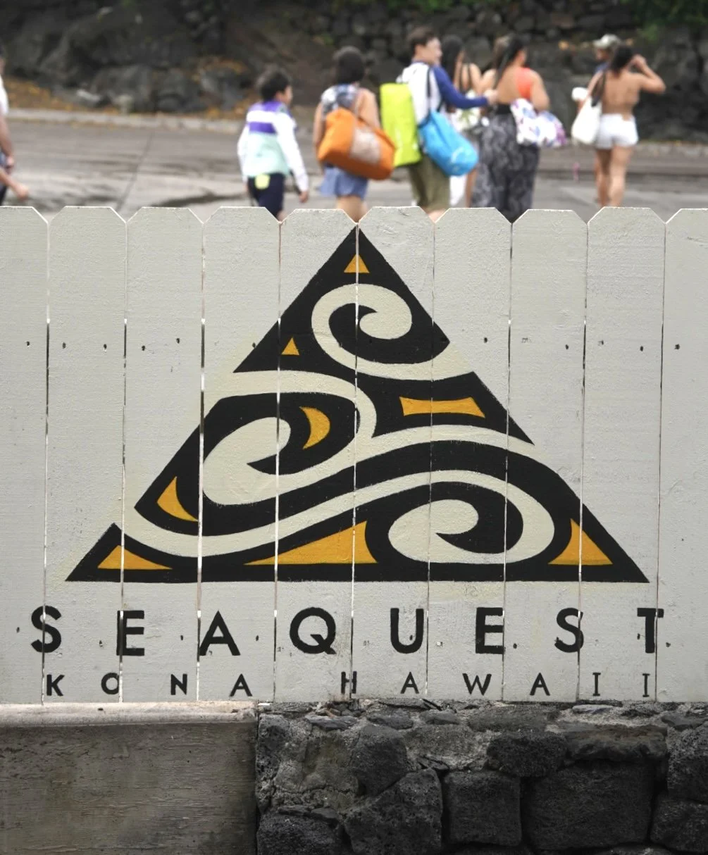  Seaquest logo 