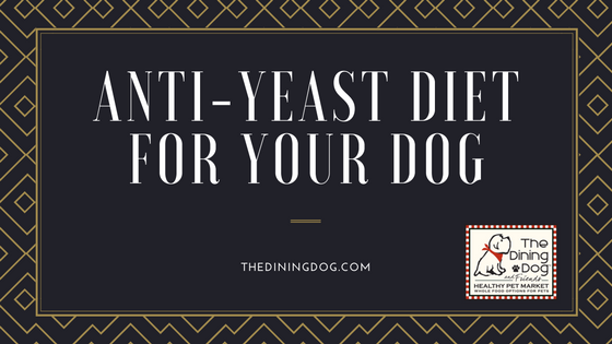 will yogurt help my dogs yeast infection