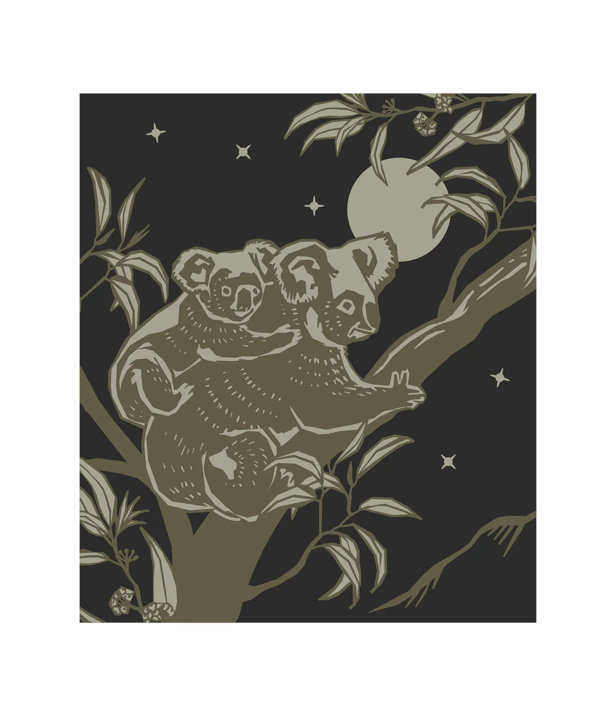 koala.jpg