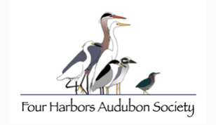 Bird Watching Nature Walk with Luci Betti Nash (Rain Date May 17th)