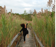 Stephanie Diamond, "Wildlife Refuge"