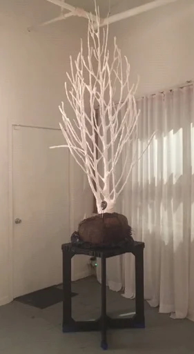 Eliza Evans, "In Vivo"