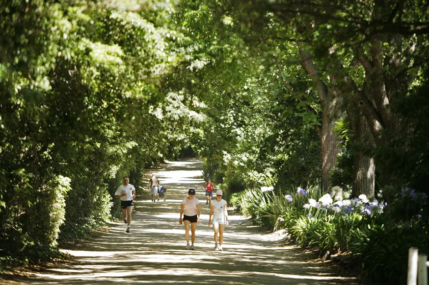 south yarra.jpg