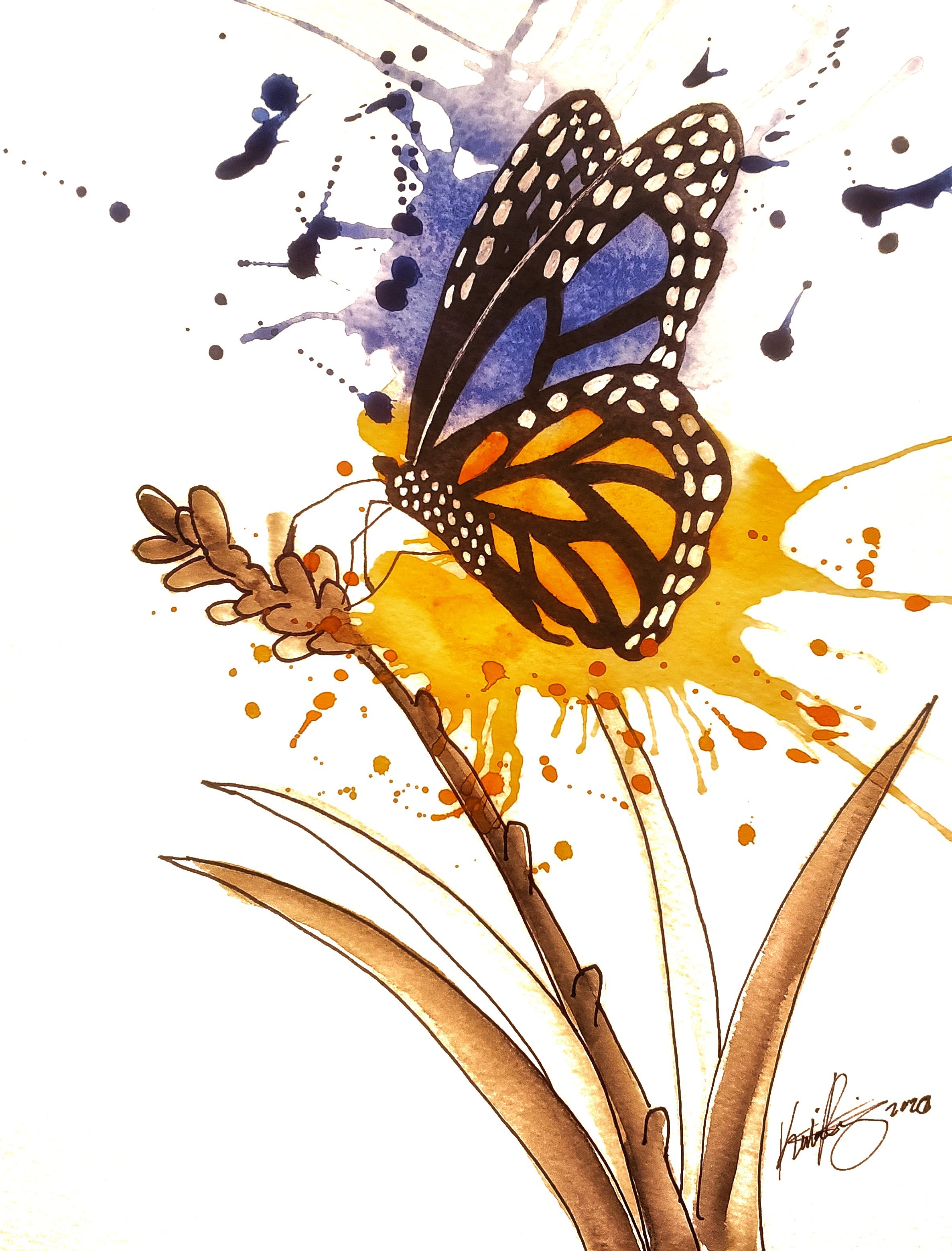 Colorful Butterfly