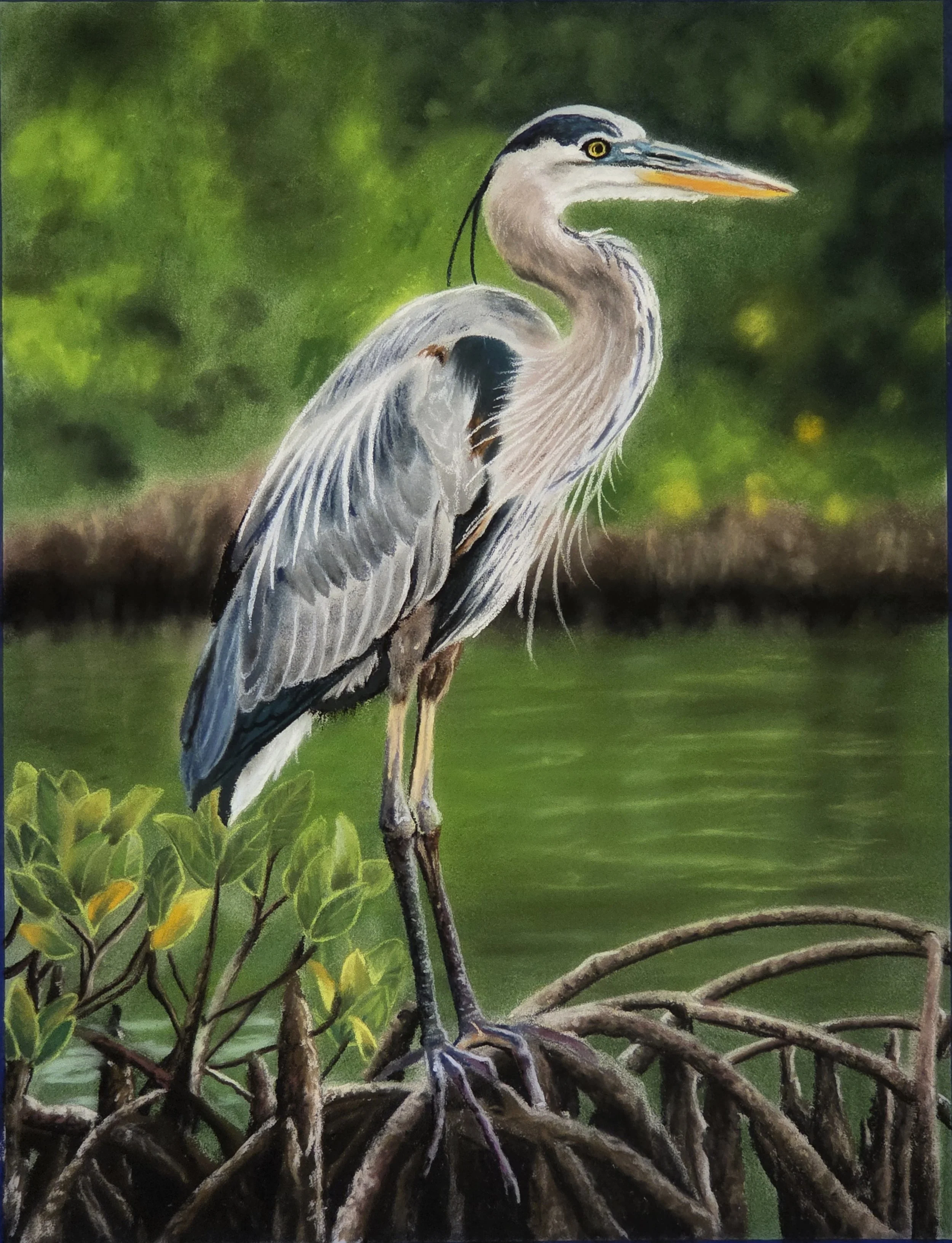 ****SOLD****Blue Heron ***PRINTS AVAILABLE ONLY***