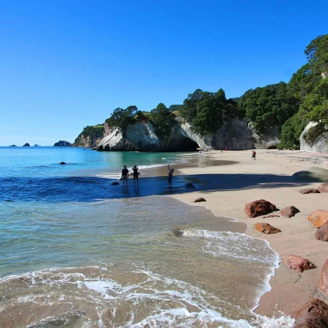 Snapshot of a NZ summer