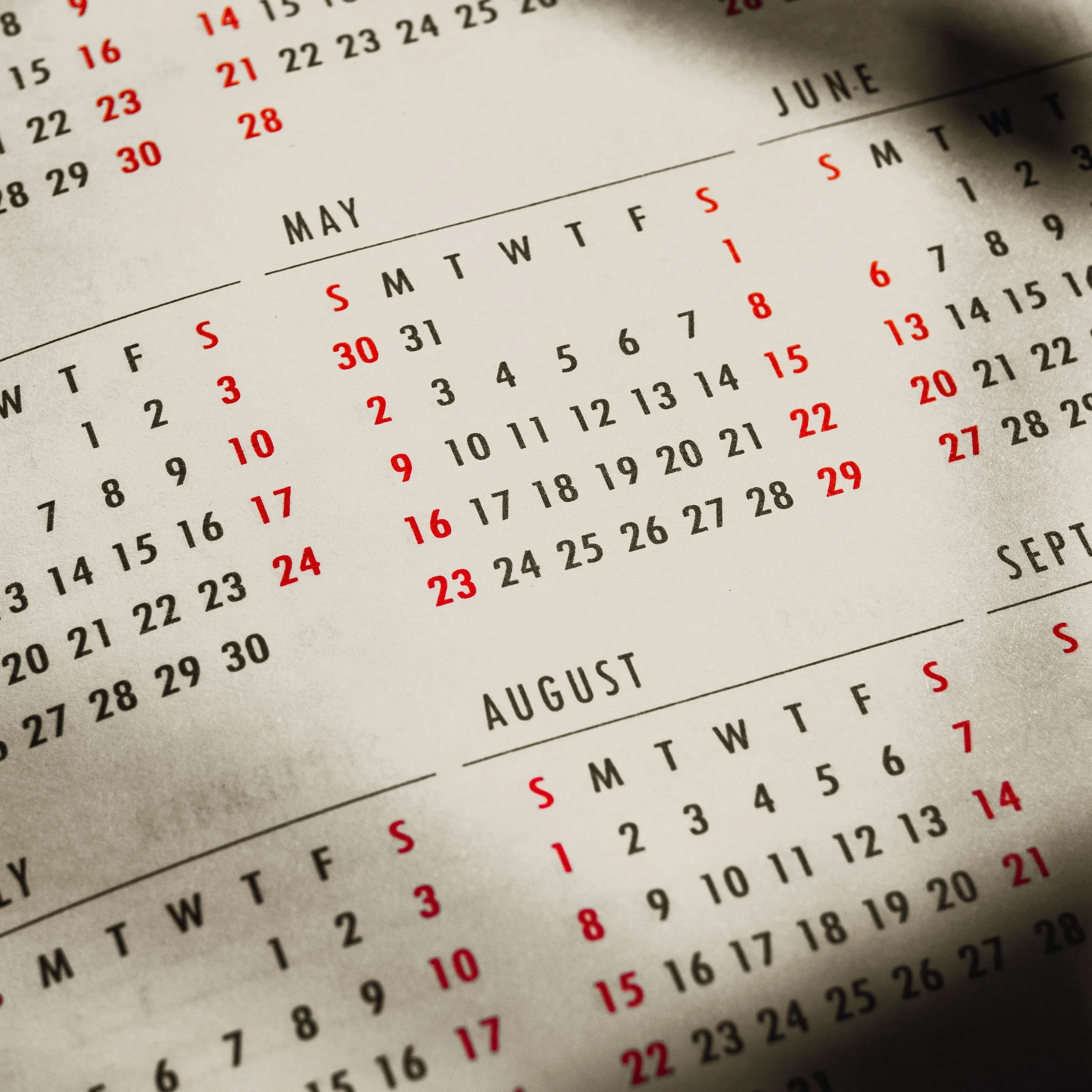 Navigating New Zealand’s Public Holiday Landscape