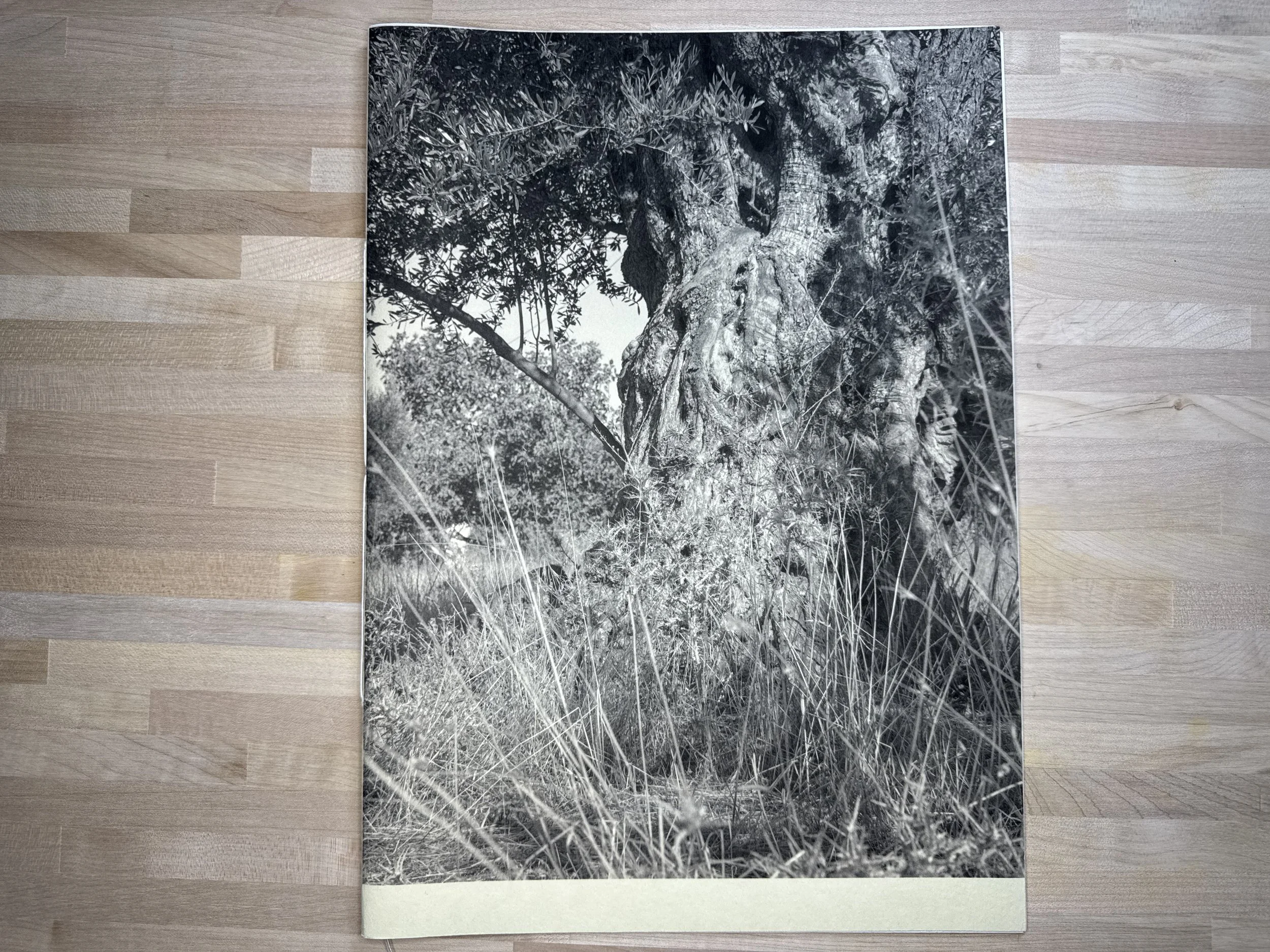 Wandering Among Them