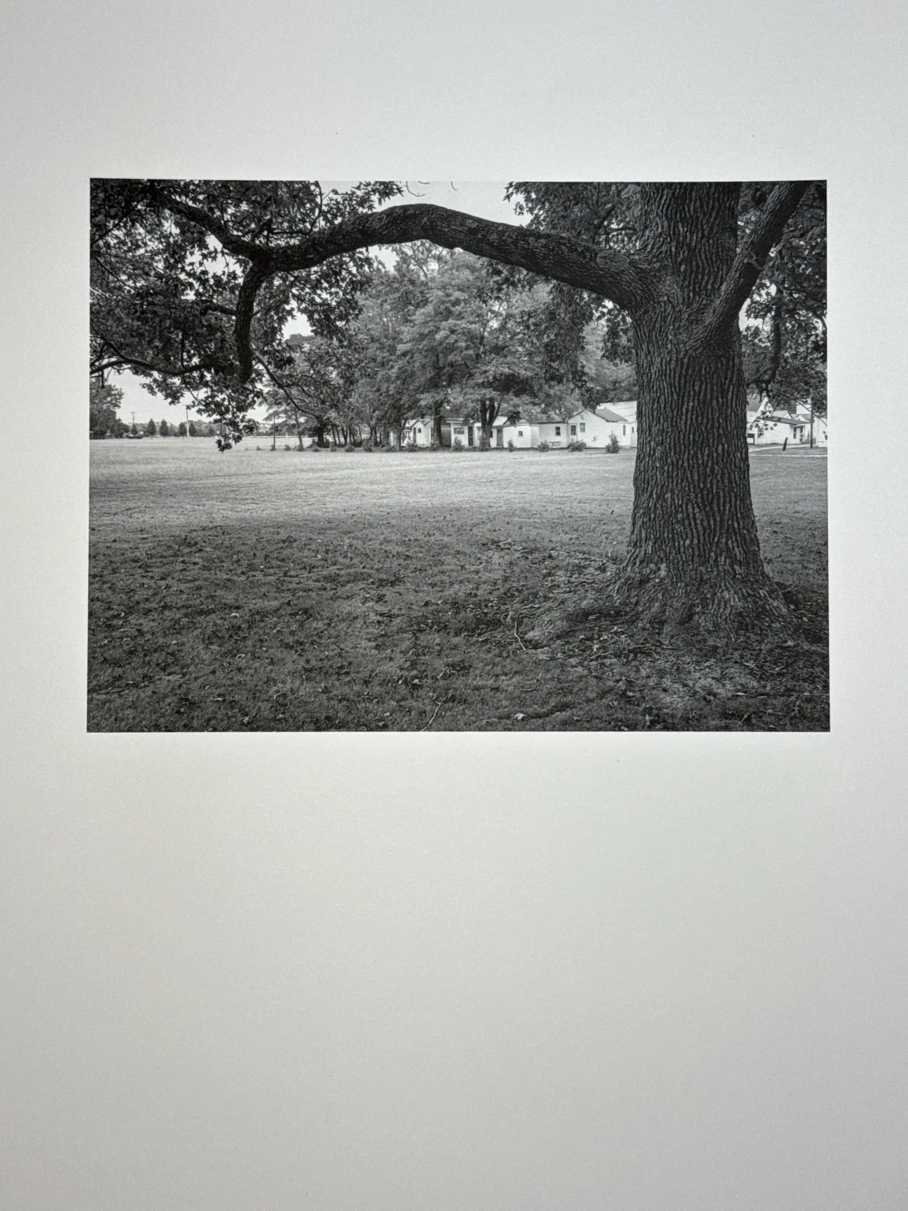  A WIP  36 images, printed on uncoated stock 