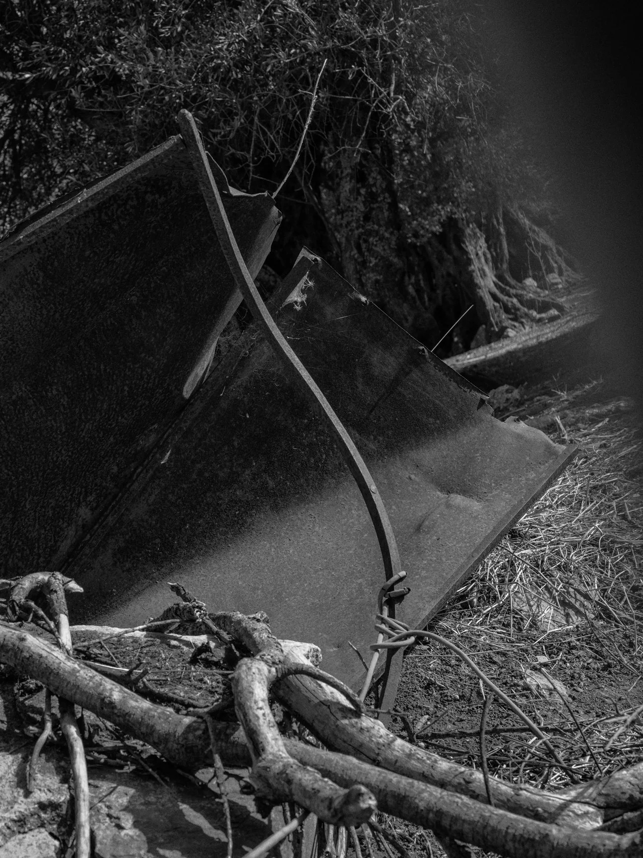 7-9x -DSCF9068-2448-2617-3006.jpg