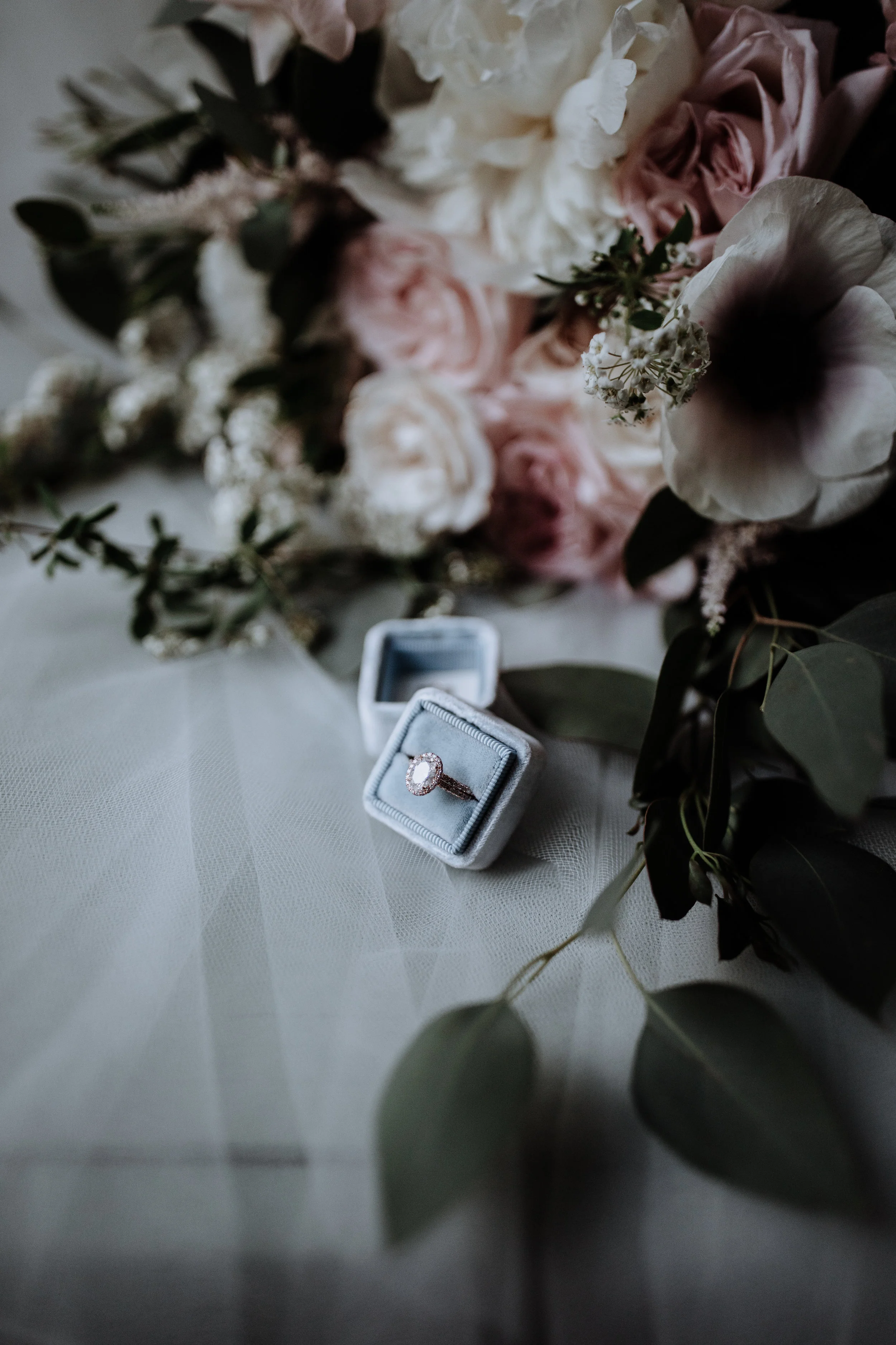RuffiniNorianWed050217373.jpg