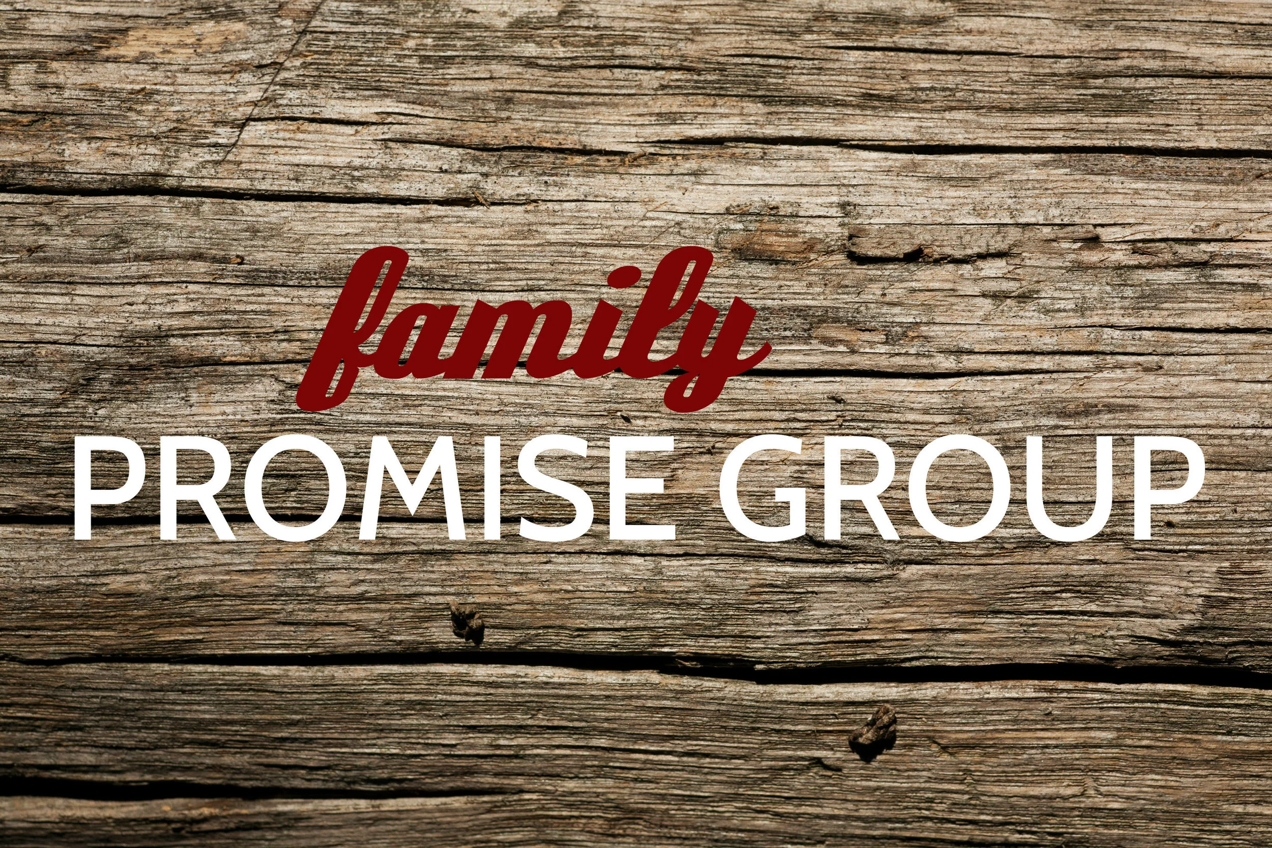 pic_promise group_family.jpg