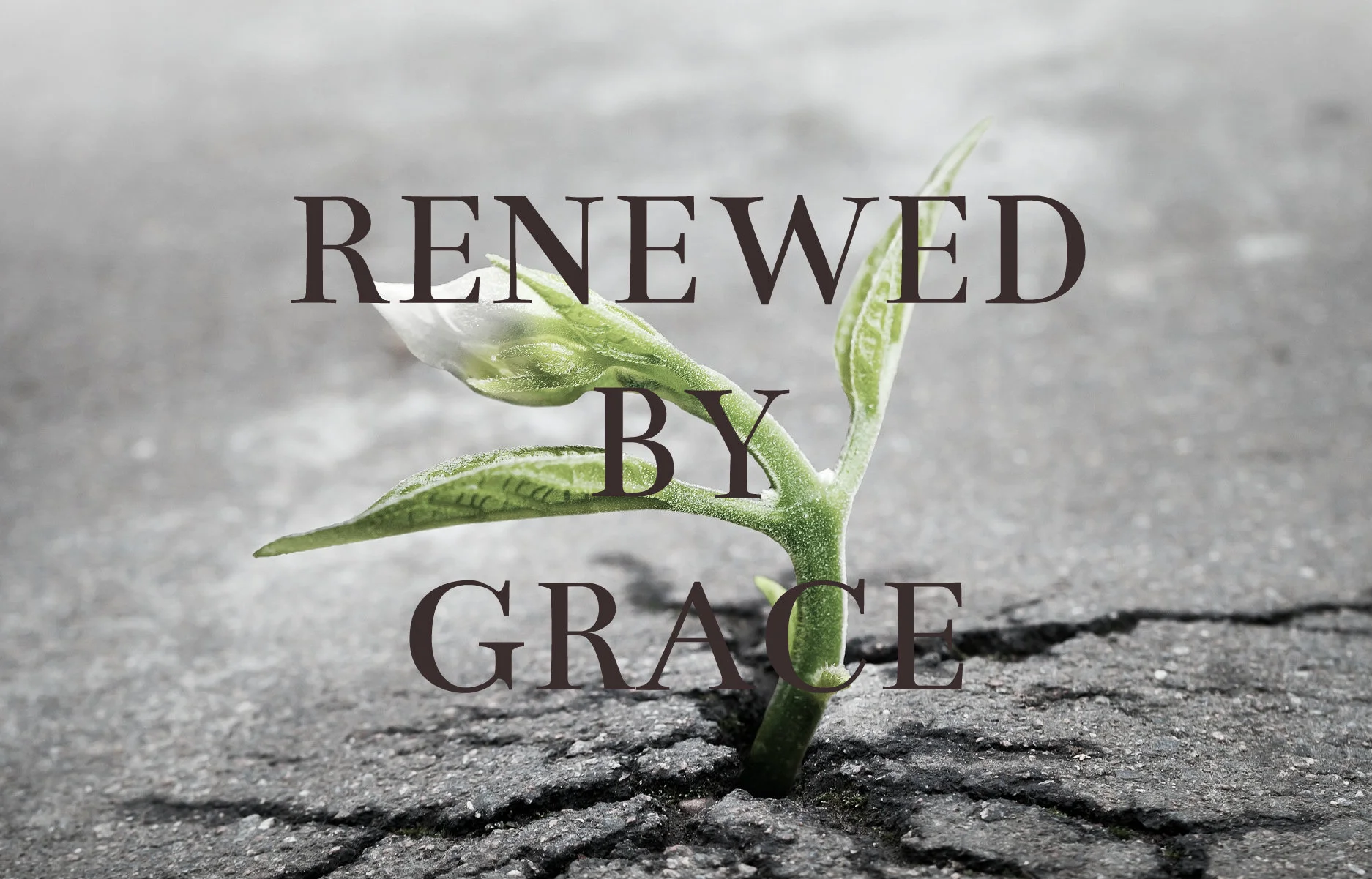 Reclaiming the Gospel