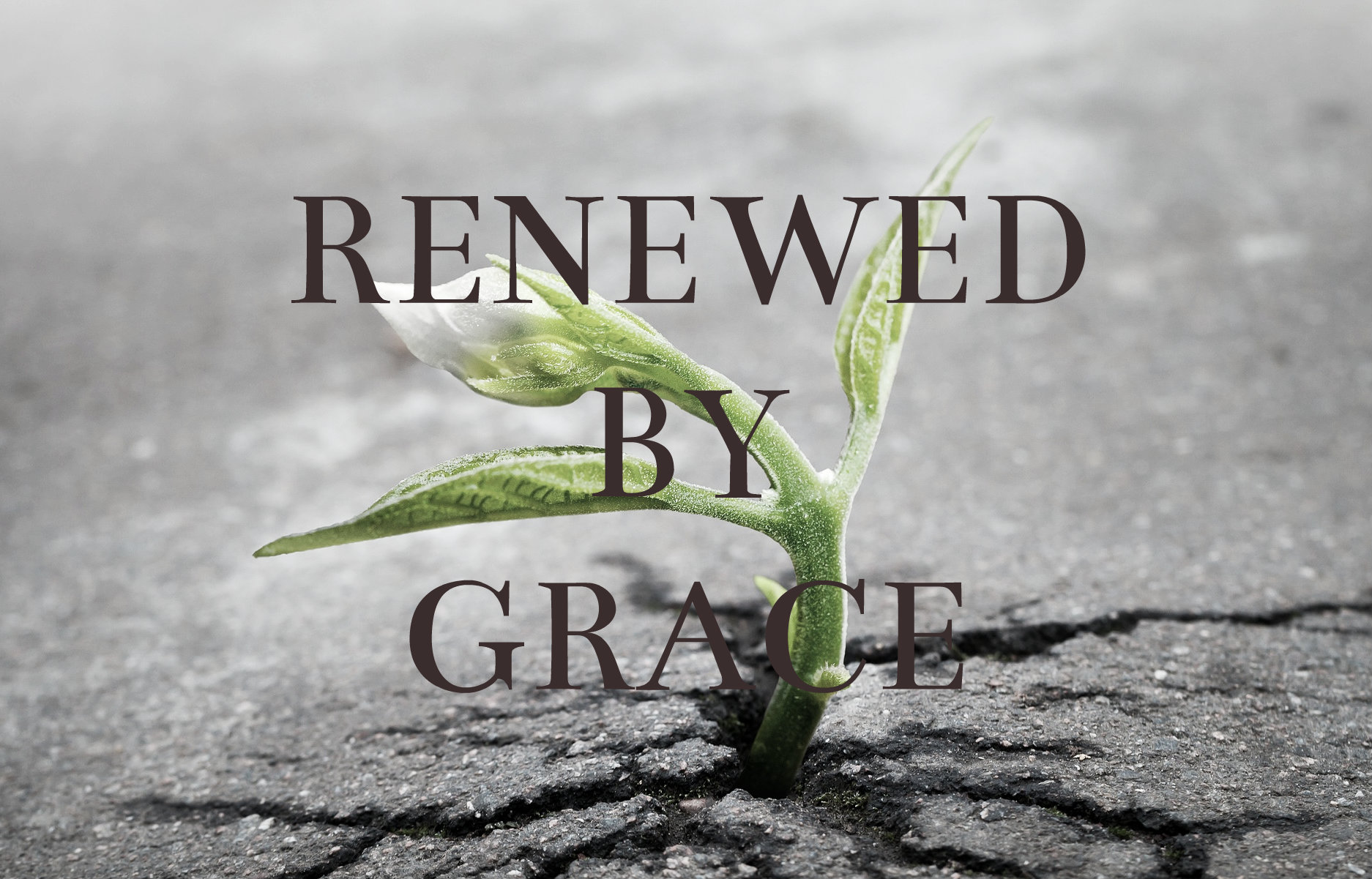 Worshipping and Serving Created Things