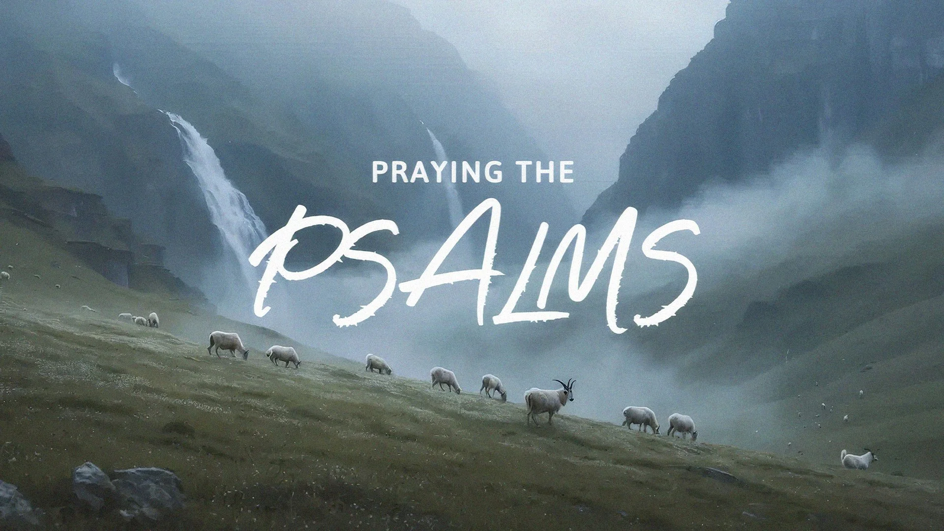 Why We Should Pray the Psalms