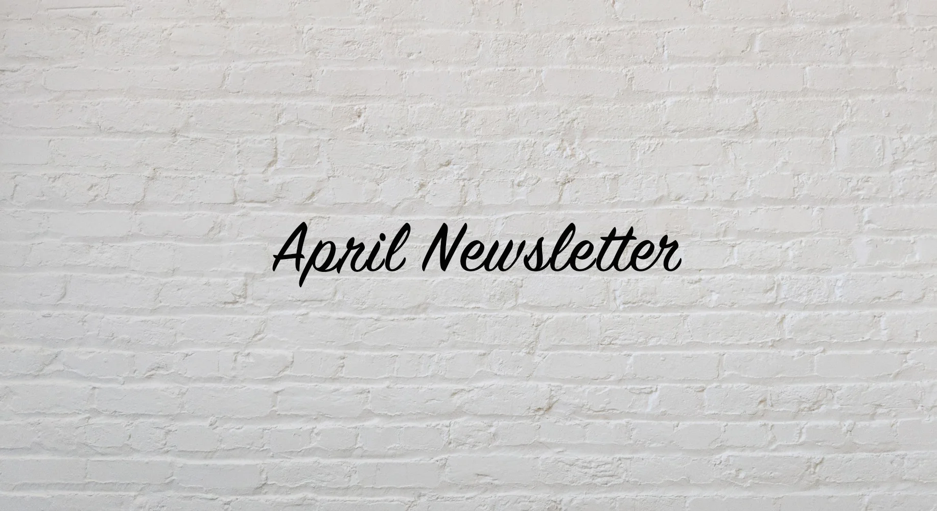 NEWSLETTER.jpg