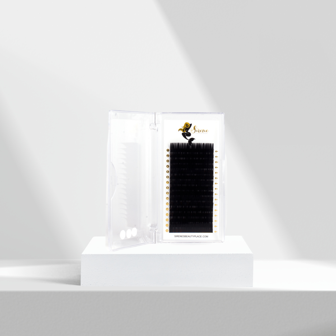 141F7FD1-CEB8-470C-822A-8E9FFC66092A