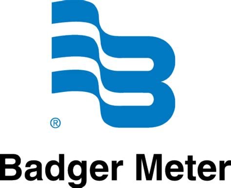 BADGER METER_logo.jpeg