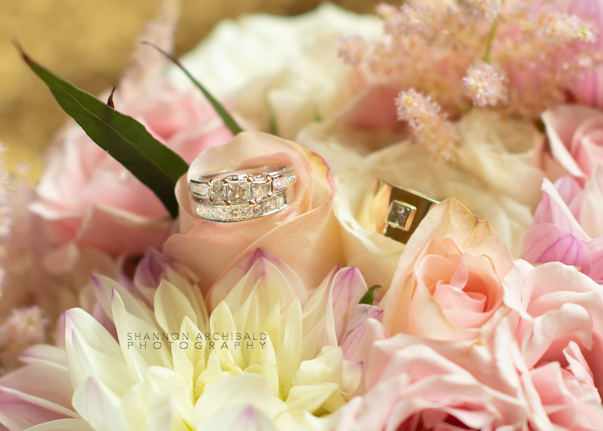 DSC_3249-2.png