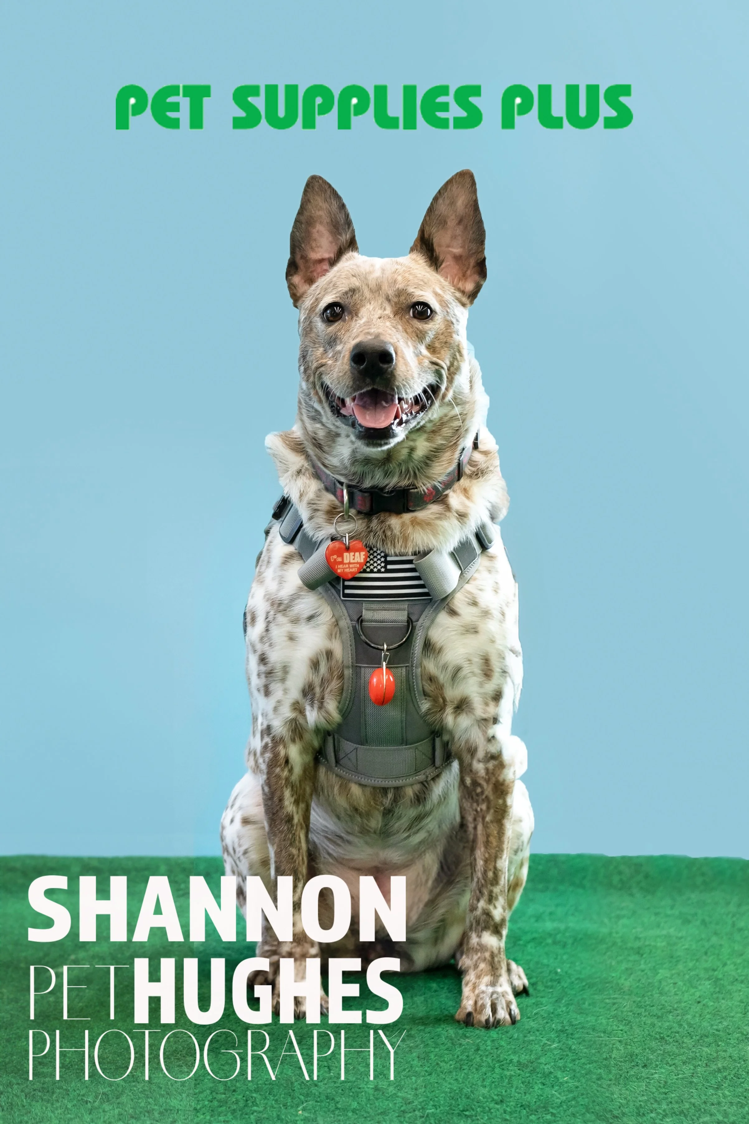 TILLYDSC_3317FBB .jpg