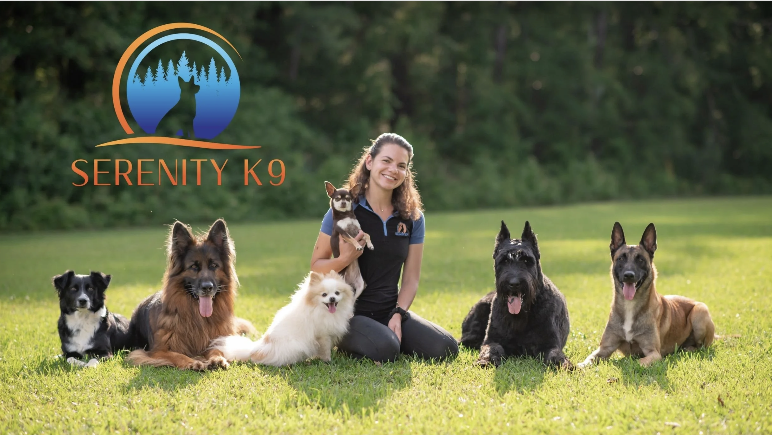 Screenshot 2026-03-12 at 10.53.17 AM.png