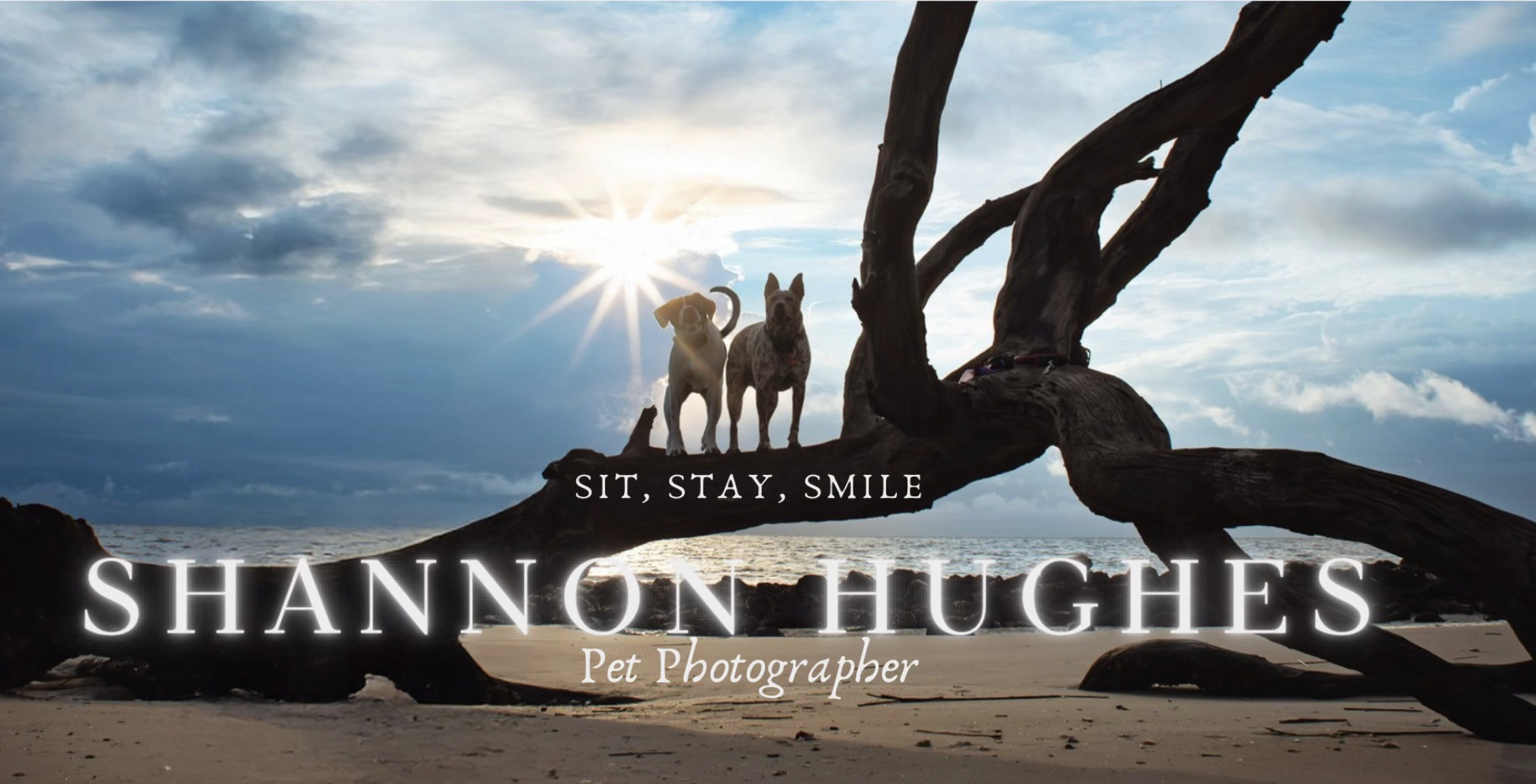 Screenshot 2026-03-12 at 11.00.12 AM.png