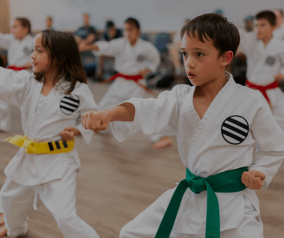 SUMMER KARATE (1).gif