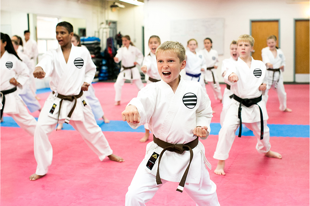 Classes in Boxing and Martial Arts  Downers Grove Boxing & Martial Arts
