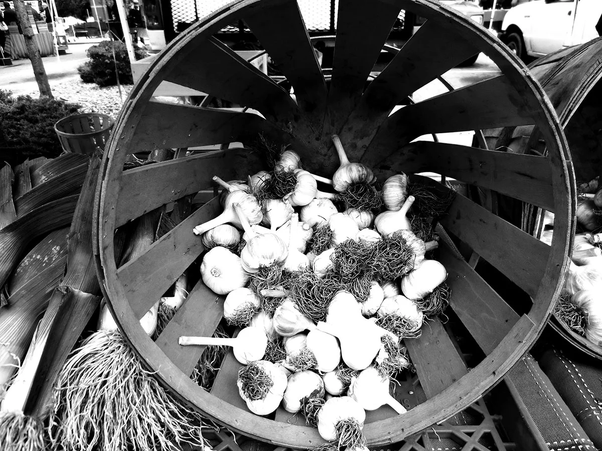  Locally grown garlic is presented in this radial basket. 