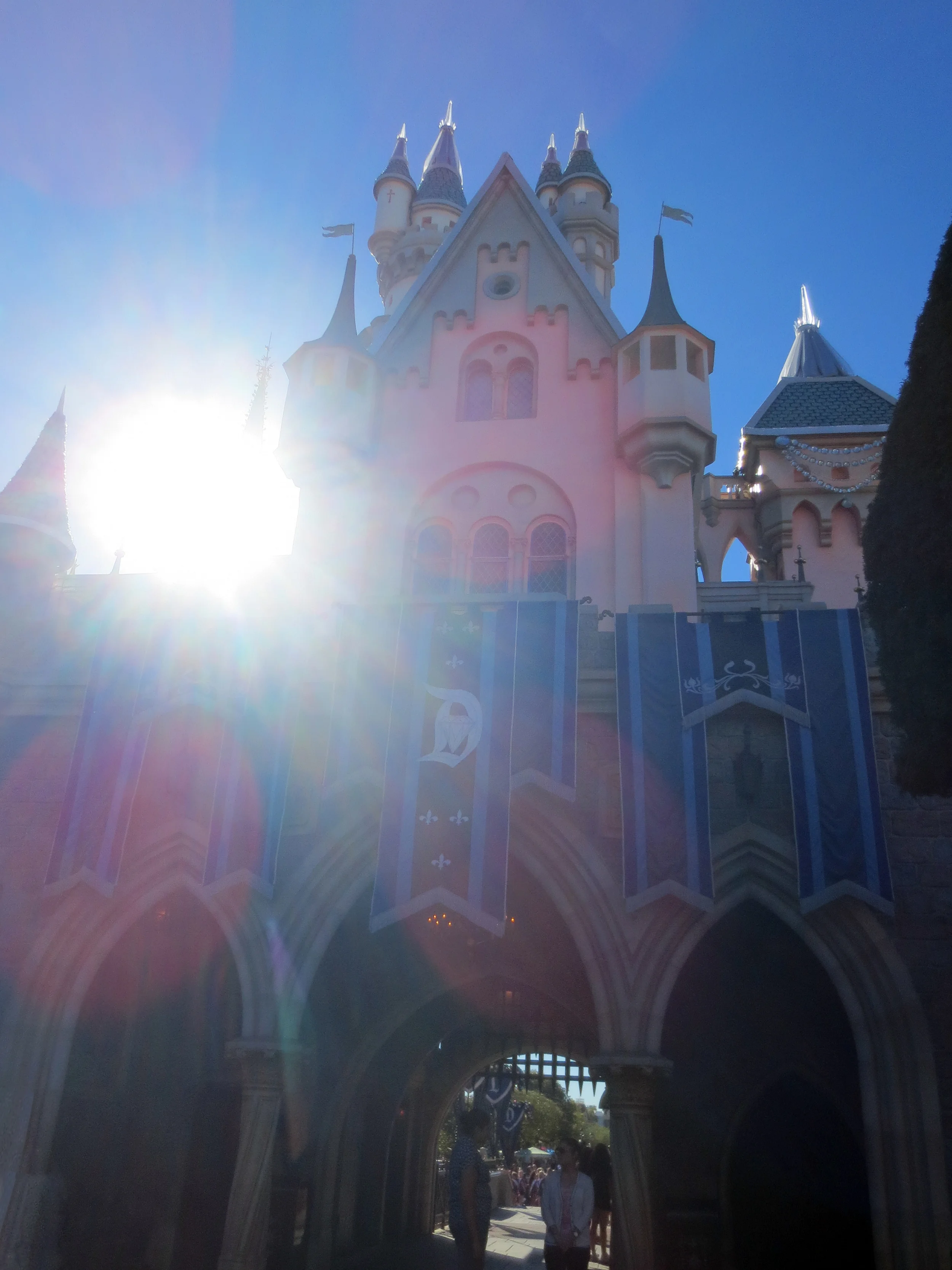 Sleeping Beauty Castle