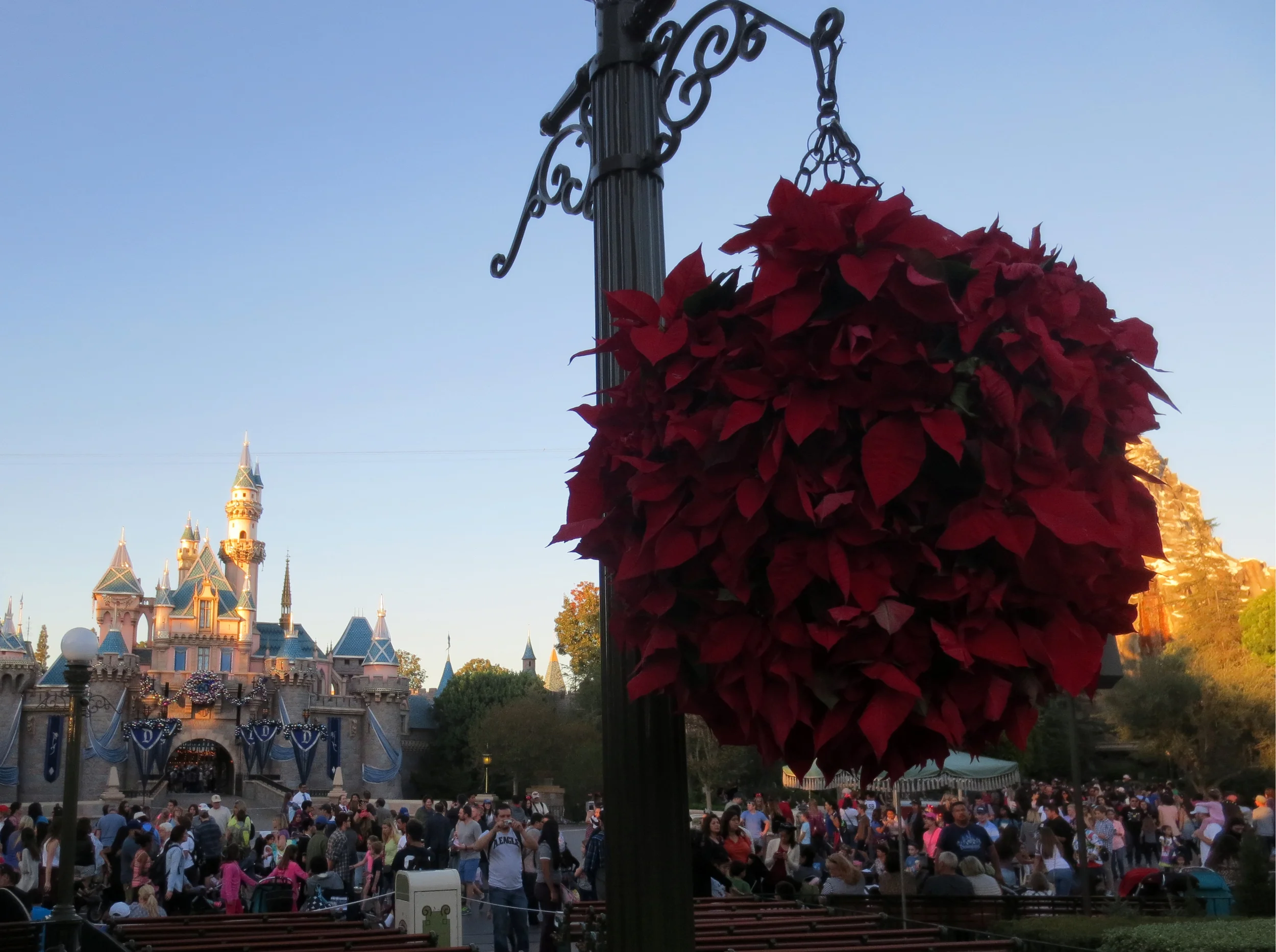 Christmas Cheer
