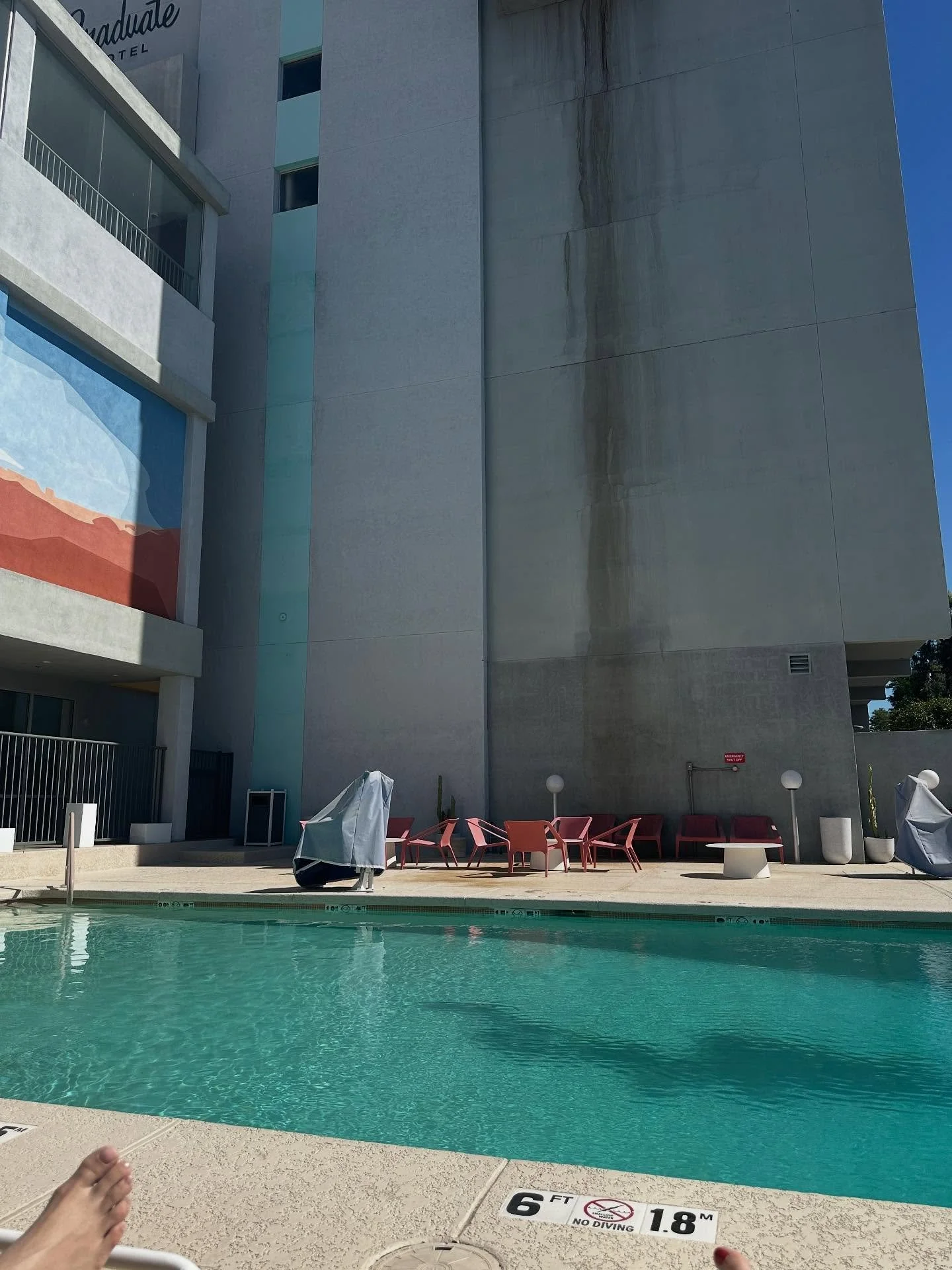 Tempe, Arizona. Cactus. 10/14/2025-10/19/2025

Dry. Great Audiences. The show keeps on going. Learning so much. Thrifting.