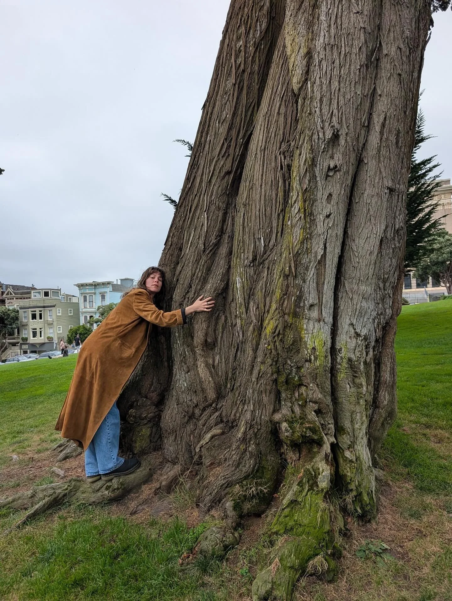 San Francisco, CA. Hills. 
10/21/2025 to 11/09/2025

Korean Spa. Childhood friends. First call out. First mid-show hold. 3 week sit down. Biscone.