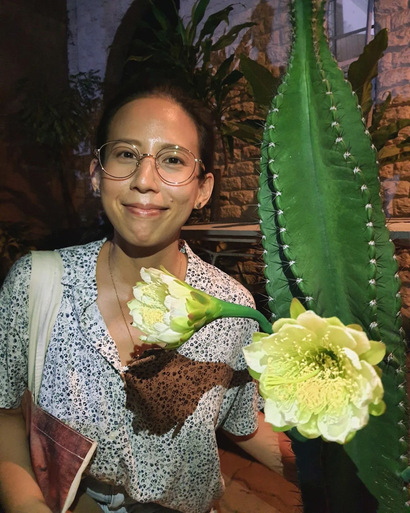 Hiiii I just want to show my first flowers from my night-blooming Peruvian cactus 🌵 🩷 As it's named, it blooms at night! I got three flowers this week for the first time since I got it in 2019. Was surprised how big the blooms are! And also surpris