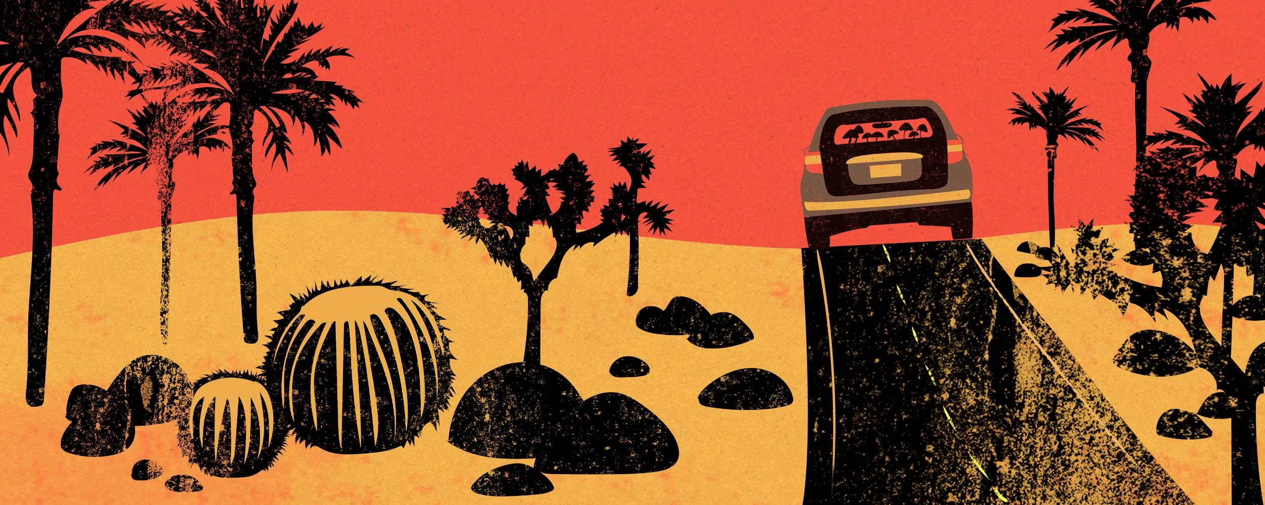Desert Trip