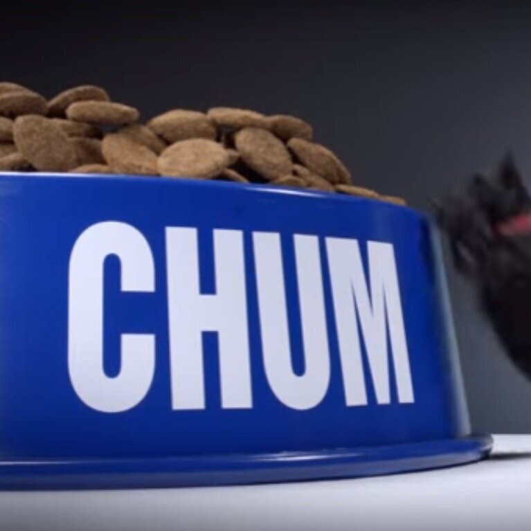 CHUM DOG BOWLS