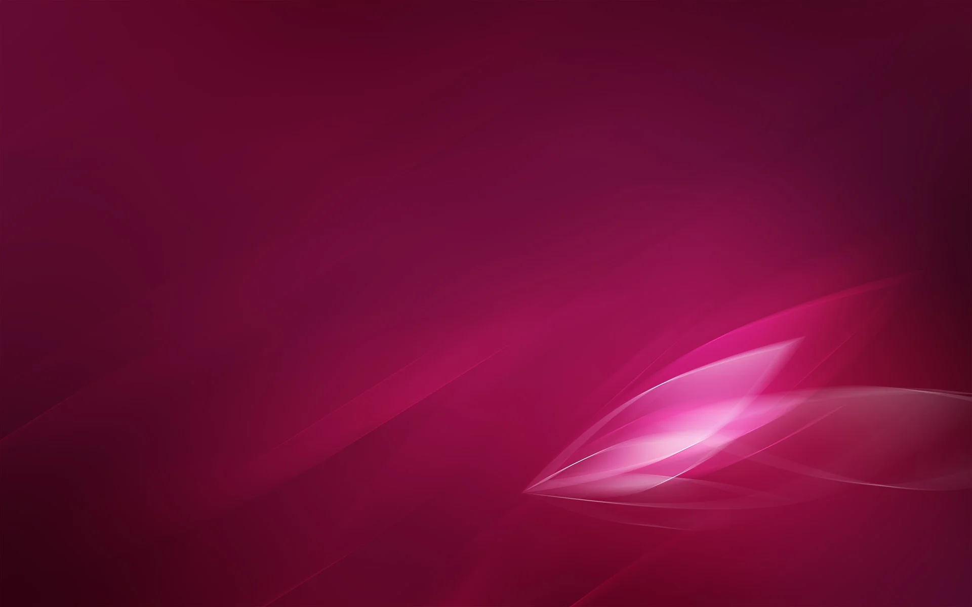 cool-fuchsia-wallpaper-1.jpg