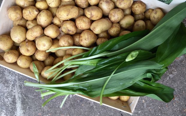 NOIRMOUTIER POTATOES Photo ©Evie Saffron Strands