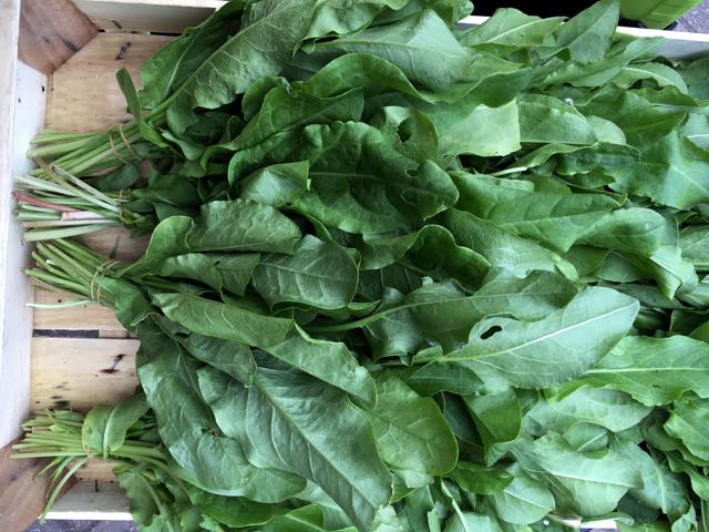 Sorrel Photo ©Evie Saffron Strands At the beginning of MAY , as I write this, you will find at Puntarelle & Co: Italian Spinach and Chard alongside particularly good Sorrel . New Potatoes from Jersey, France and Cornwall. New season Purple Aubergines from Italy, including the elongated purple and white striped variety, and fragrant Fennel bulbs. Supplies of Green and Purple Artichokes from Italy are slowing, to be replaced by French crops this month. Again, we have chosen French Grelot Onions this week. Italian Roman Courgettes and smooth-skinned Yellow and White varieties along with French round courgettes. Broad Beans and Peas from Italy are still arriving, the peas fuller and sweeter now. These are joined by the first Italian Fine Green Beans . From Sicily we have firm, crunchy, spiky Cucumbers – perfect for pickling – and, in response to customer requests, the first of the Melons and small, sweet red-yellow Watermelons . English green Asparagus from our Kent grower, as well as white French and Italian varieties. Outdoor-grown English Rhubarb . This fruit/vegetable is admittedly not as eye-catching as the early pink forced one, but is a far better proposition for a rhubarb crumble. Early Spanish Peaches and Nectarines are in, as are Italian Apricots and French outdoor-grown Strawberries , and Italian Cherries and Nespoli . Meaty, yellow ‘Pineapple’ Tomatoes have arrived from France this week, and we also have other colourful Heritage varieties. We have English harvests of Spinach , Salad Leaves , Cucumbers and Radishes as well as fresh Herbs - Mint, Coriander and Parsley .