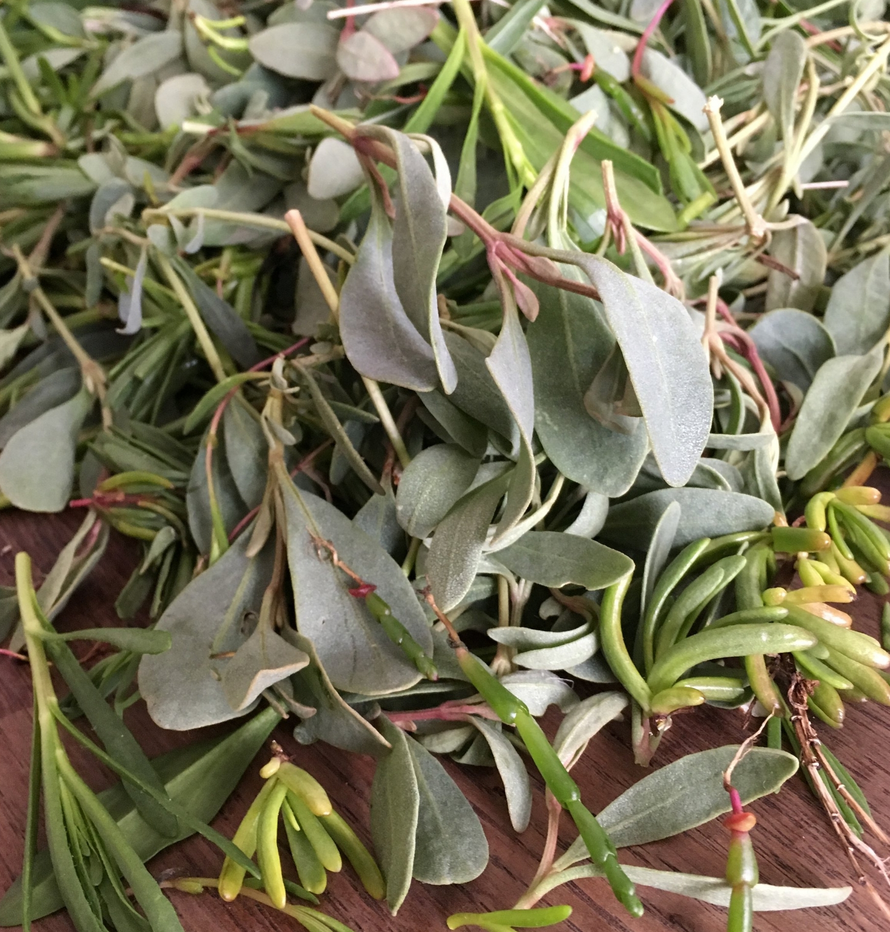 Sea Vegetables Mix Photo © Puntarelle&Co Ltd Foraging for nutritious vegetables from our sea shores is underway and we have a small amount of these delicious low-carbon additions to the vegetable basket this week. Sea Purslane - Crammed with vitamins and minerals, the saline blueish-green leaf of Sea Purslane is picked from its woody stem. It can be found almost year-round in salt marshes but is at its best right now. Eaten raw, its saltiness means it’s best used as a garnish. Briefly boiling or steaming removes some of the salinity, but don’t do so for too long as you want to retain those nutrients. A knob of butter, a squeeze of lemon and a little pepper is all it needs before serving. You can also turn it into a pesto. Sea Beet/Sea Spinach – Found growing on shingle beaches, cliffs and saltmarshes, this is a close relative of the Beet family which includes Beetroot, Swiss Chard, Spinach and Sugar-Beet. Found on upper beaches, it grows year round but is at its best in Spring/Summer. Only its leaves are used, steamed, boiled or wilted. If you like Spinach you will love Sea Beet. Sea Rocket – Not native to our shores but this peppery leaf has naturalised. Smelling distinctly peppery and similar in flavour to the Wild Rocket you find inland, and can normally buy, its harsher growing conditions mean the heat quotient of this peppery leaf is turned up a few notches on what you may be used to. Marsh Samphire (also known as Pickleweed or Poor Man’s Asparagus) – We have a little early Samphire, a truly seasonal treat. The name is thought to be a corruption of the French herbe de Saint-Pierre . The fleshy stems of this crunchy, salty, native marsh-grass have a flavour somewhat similar to Asparagus. Its mineral salinity is perfect with fish. Best eaten simply steamed and tossed in butter. Seablite (also known as Seepweed or Seaspray) - This bushy plant is one of the Suaeda group. Bearing a resemblance to rosemary in form, can be steamed, stir- fried or briefly boiled and lightly dressed with a vinaigrette, or tossed in melted butter. It can also be dried for use in soups through winter.