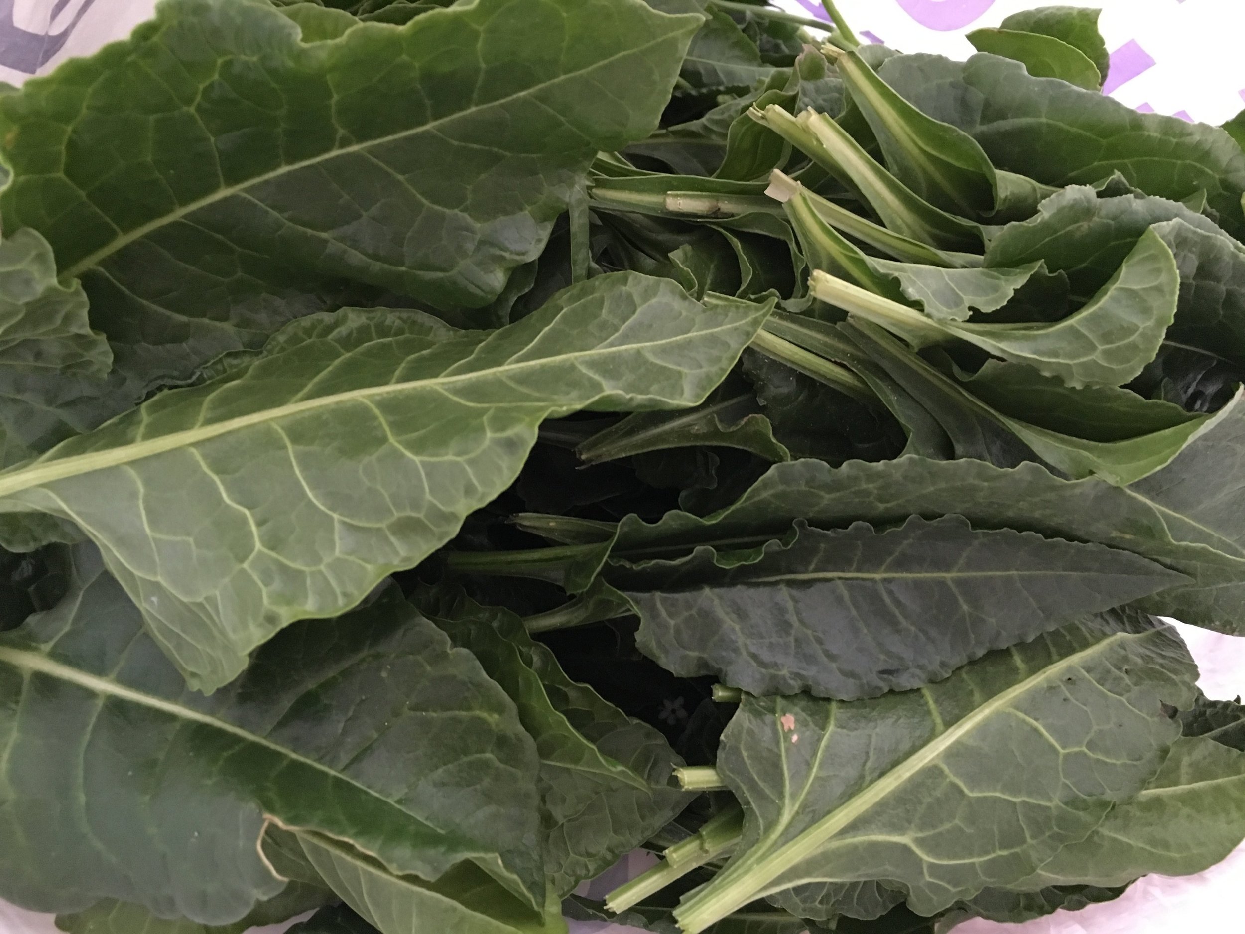 Sea Beets Photo ©Puntarelle&Co Ltd
