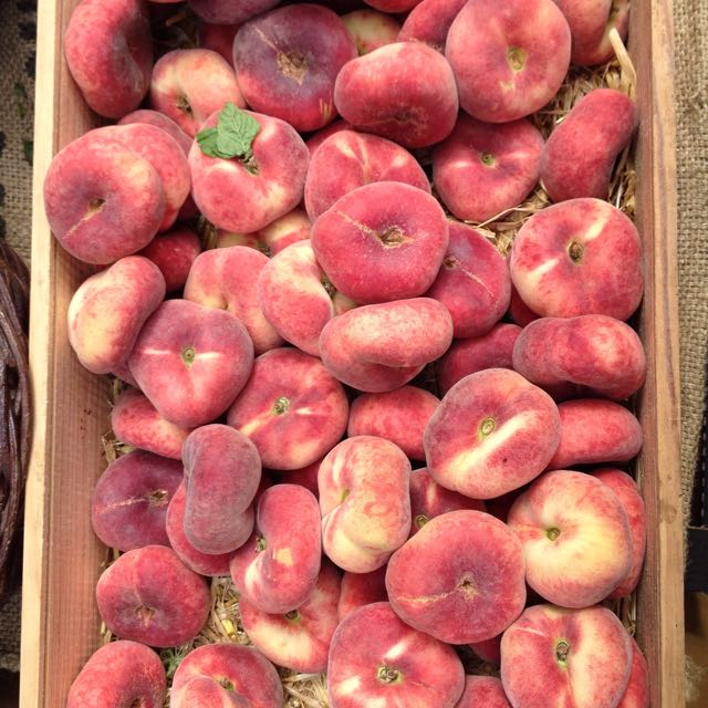 Flat Peaches Photo ©Evie Saffron Strands We select the best peaches we can get but early peaches can be a little less yielding than you might like. Their season arrives along with a vibrant array of fresh herbs including Lemon Verbena. Peaches have a particular affinity with the ‘sherbet lemon’ quality of this herb. Here is a recipe that’s perfect for those peaches that need a little heat to bring out their best but works for ripe peaches too: Baked Peaches with Lemon Verbena (serves 4) 4 Unripe round or flat peaches 100ml water + the same volume of caster sugar 4 leaves of tender fresh lemon verbena (or 2-3 basil leaves) A handful of raspberries for each plate (optional) Heat the oven to 180C (160C fan)/Gas 4. Lightly butter an ovenproof dish. Cut the peaches in half and remove the stones. Place the fruit cut-side up in the dish. Dissolve the sugar in the water over a medium heat and add the lemon verbena leaves. Pour the contents of the pan over the cut peaches. Bake in the oven for 20-30 minutes, depending on the size of the peaches. If the fruits are particularly hard, you can cover the dish with foil to speed up cooking. Baste the peaches a couple of times during cooking and, if they are not softening, turn them a couple of times in the syrup. Serve with the cooking juices spooned over and, maybe, a fresh leaf of verbena. If you have raspberries, add a few to each plate. Cream to serve is good.