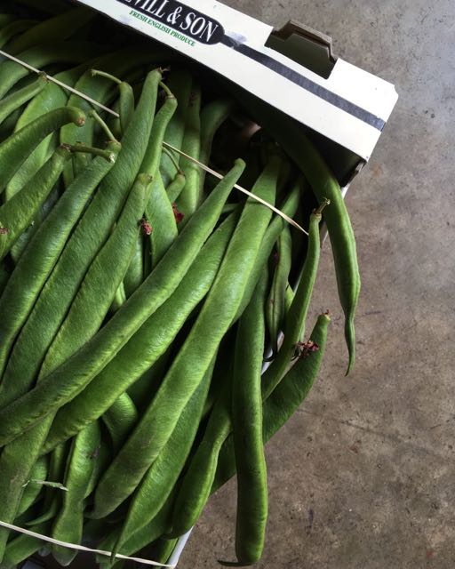 English Runner Beans Photo ©Evie Saffron Strands So, what new season produce can we expect to come through our doors through July? It’s the month of Climbing Beans , so expect Borlotti , English Runner Beans , Fine Beans and creamy French Coco Beans . Watercress sourced direct from Kingfisher Farm in Surrey, who have been growing watercress for more than 150 years, should be with us a while longer and English Aubergines and Courgettes should be coming in. English Norfolk Scraper Potatoes and La Ratte from France. There may be more early English potatoes as the month progresses. Kent grown Strawberries and Raspberries continue and English Gooseberries . English Cucumbers , Radishes , Spring Onions and Chard . We expected English grown Fennel too but the crop isn’t doing too well this year so we await news. Tastier Sweetcorn should be arriving from the Continent followed by the English crop. Crunchy French Grelot Onions will continue through the month and we will have a good supply of Round , Romana , Trompetta , White , Yellow and Green Courgettes . Ever-sweeter varieties of sun-ripened Italian and French Tomatoes . As always we will select the best including the wonderful Sorrento Tomatoes grown in the volcanic soil around Mount Vesuvius. Unbeatable Ligurian Basil to go with them. From France, new season Celery , La Ratte Potatoes and Brittany Artichokes. Large Watermelons from Italy . Various varieties of Melons . Round Peaches , Flat Peaches , Nectarines and Apricots . There will be blood varieties of stone fruits too - Pêche de Vigne and Nectavigne .