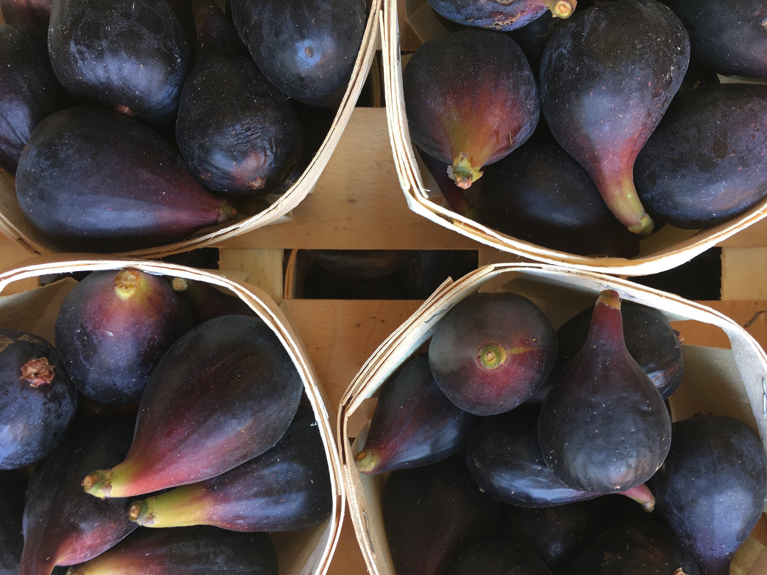 French Black Figs Photo ©Evie Saffron Strands Sticky and sweet Black Figs from France and Italy. Red and White varieties of Cherries from France and England and the Black/White/Red Currants are ripening. We may see Mirabelle and Greengage Plums from France and Green Almonds are now in season. Weather permitting, we may see some English Apricots . NEW in: The first French Black Figs of the summer season arrived today. Many fig trees produce one crop a year but some varieties from warmer areas produce a second crop. This is borne on new stem growth of the current year. The first fruits ripen in early summer and are large and luscious, while the second crop is smaller and ready to pick through late summer into autumn. These early summer treats need no enhancement. They are good quartered and served with Prosciutto ham or make a delicious dessert served just as they come. 