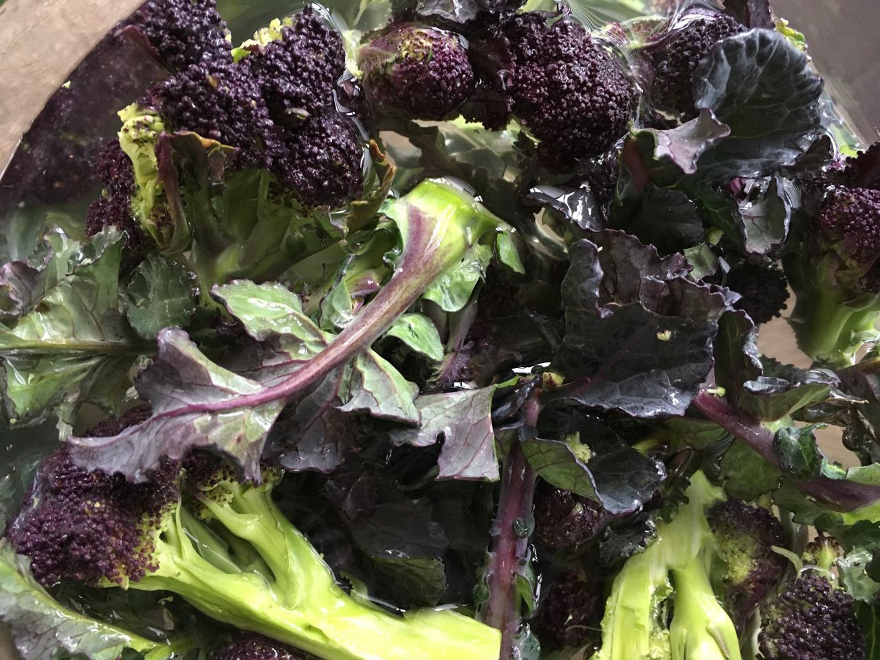 Purple Sprouting Broccoli Photo ©Evie Saffron Strands Broccoli Most of the common vegetables around today have been eaten since before recorded history. One exception is Broccoli. Cauliflower, Brussels sprouts and Celery are also relative newcomers. Broccoli is a member of the Brassica family. Two native brassicas, one from the Mediterranean and one from Central Asia, are responsible for more than a dozen common vegetables on our plates. Cabbage, Kale, Brussels Sprouts, Cauliflower, Kohlrabi, Chinese Cabbage, Turnip, Broccoli Rabe and Broccoli are amongst them. Broccoli, like Cauliflower and Romanesco, is harvested for its immature flowers. Broccoli Rabe , also known as Rapini and Cime di Rapa is not a true broccoli but the flowers that emerge from the thickened stalk of a variety of turnip (a brassica member). It’s also sold as ‘broccoletti di rape’ , meaning ‘little sprouts of turnip’. It can be treated in the same way as true Broccoli. Commercially, broccoli is available all year round but it’s really a cool-season vegetable that is at its best from late autumn through to early spring. The most appreciated variety in the UK is the Purple Sprouting Broccoli. If you grow it, you find it makes a wonderful cut-and-come-again plant. You simply snap off the small flower stalks. There is also a white-flowering variety, less often seen. The thick stalked Calabrese Broccoli variety takes over by July and goes on until October. When the plant cells are damaged, like all brassicas, broccoli releases bitter, pungent and strong-smelling compounds. The autumn and winter-grown vegetables are usually milder. These characteristics make broccoli a love-it or hate-it vegetable. In normal years, when the Purple Sprouting Broccoli is coming to an end, the English Asparagus season is starting and both vegetables respond to simple treatment. Broccoli, like Asparagus, has an affinity with eggs. It’s also very good with anchovies, cheese and bacon. Streamed or boiled until just tender, the broccoli can be served with a jug of melted butter or hollandaise sauce, or tossed in a warm of emulsion of melted butter, garlic and tinned anchovies. You can do what the Romans do and give it the ripassata , or re-passed, treatment – boil the broccoli in salted water until tender, then drain; sauté a crushed garlic clove and chopped fresh or dried chilli in olive oil until the garlic softens; add the greens and a little salt and pepper, turning to coat the greens in the oil for 2-3 minutes. Eat just as it is, add some cooked pasta to the pan or pile it onto toast and top with a fried egg. We expect to see over-wintered Purple Sprouting Broccoli around for another 3-4 weeks. It will be followed by mild Broccolini, also known as Tenderstem, which is actually a cross between broccoli and a Chinese kale, and there will be broccoli Calabrese too. 