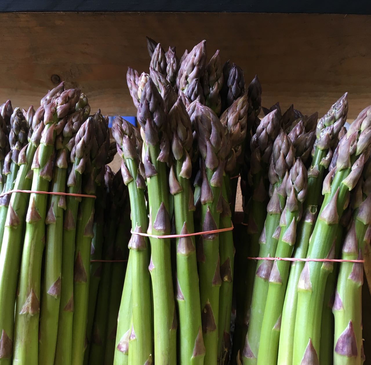 English Green Asparagus Photo ©Evie Saffron Strands Asparagus Asparagus grows from long-lived rhizomes that spread underground. The spears are the tender young shoots of Asparagus officinalis that grows into a fernlike plant over a metre tall when harvesting ends. The spears start pushing through the ground in early Spring. In recent years, a variety of ‘early-season’ asparagus has been developed enabling some producers to get an Asparagus crop to market ahead of the game. Normally, the asparagus farmer has a few weeks of frantic activity harvesting the crop for market, and then it's all over until next year. Traditionally, in the UK, the season begins around St George's Day (23 April) and by mid-Summer's Day cutting should stop. The plants continue to put up spears but these are allowed to grow into tall fronds that photosynthesise in order to build up nutrients in the rhizome for next year's crop. In November the plant is cut back to ground level. It takes about three years for an asparagus crown to become established and, if treated right, it can be productive for 10 years. Harvesting of Asparagus has to be done by hand. The white version is even more labour intensive as the growing spears have to be banked-up with soil to produce the blanched stems. Popular since the 18th century, white asparagus has a more delicate flavour than the green. If exposed to light after harvest, white asparagus will turn yellow or reddish. Purple varieties of asparagus are high in anthocyanins, though, like other purple and red coloured vegetables, cooking results in loss of this colour and it turns green. This all adds up to making asparagus one of the most expensive treats of spring and early summer. Freshness is key to taste so, when you do finally get your hands on it, don't let it linger in the fridge or it will lose its sweetness. The spears are packed with beneficial nutrients - vitamins A and C, folic acid, potassium and iron. They have a natural snap-point separating the tough from the tender parts, so, it’s best to bend the spear and snap off the base rather than cut it for cooking. Young, fresh spears don’t need to be peeled but later ones benefit from peeling the lower 6cm or so. The first, fresh Asparagus are fantastic eaten raw. Slice thinly, and toss in a vinaigrette of lemon juice, olive oil, salt and pepper. The wispy early spears marketed as ‘Wild Asparagus’, or later thin spears known as sprue, are wonderful for par-boiling then adding to an omelette or frittata. Thicker spears can be plunged into boiling water for a few minutes until just tender – melted butter, mayonnaise or hollandaise sauce are good accompaniments. Asparagus has an affinity with eggs so pairing them is a very good idea. To cook the spears on a griddle or to roast them in the oven in olive oil, par-boiling for one minute in boiling water first is recommended. In this the week of St George’s Day, the English crop of Green Asparagus is thrusting through the soil to join the green, white, purple and wild Asparagus coming in from the rest of Europe.