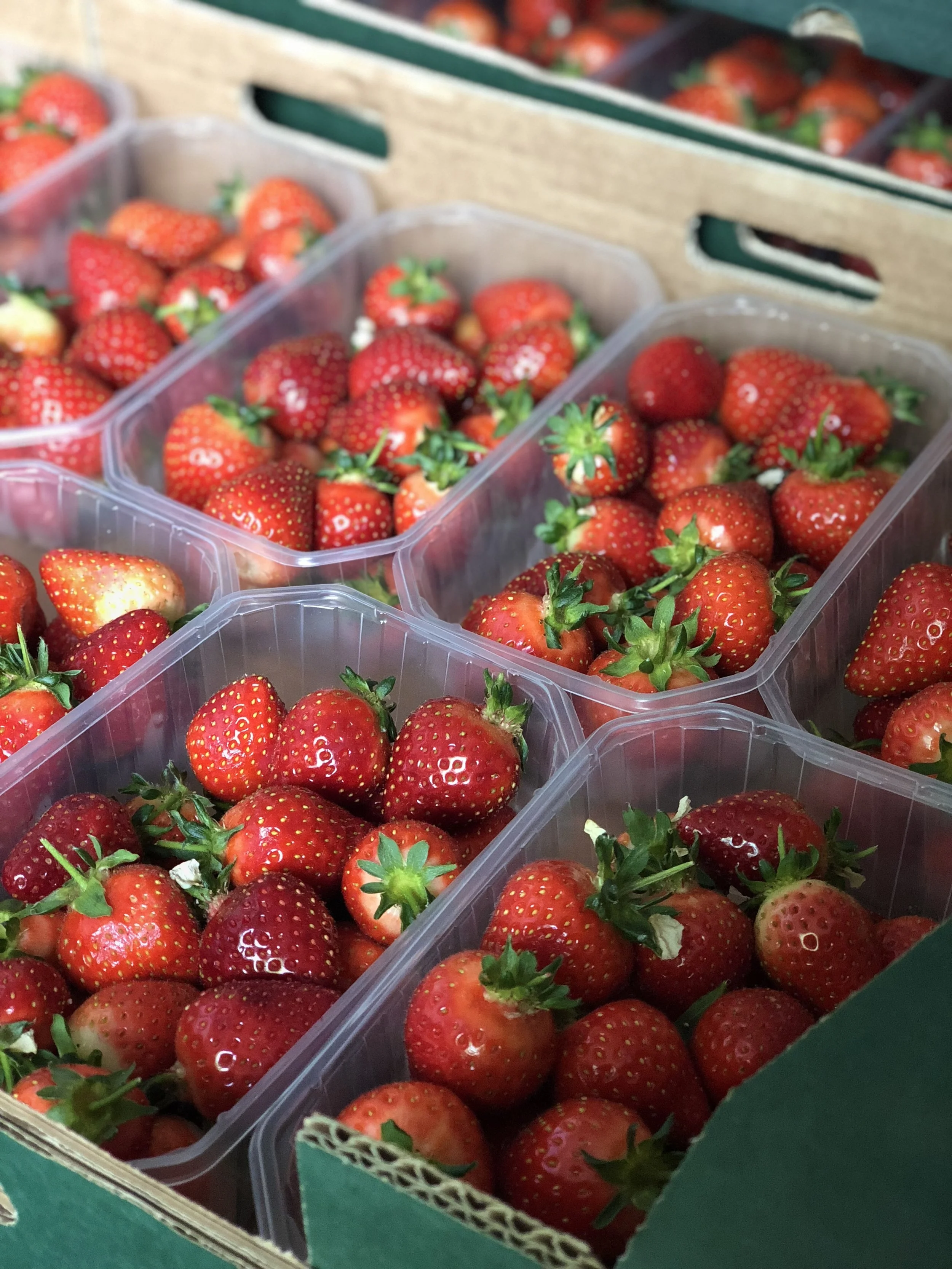 Strawberries Photo ©Puntarelle & Co Strawberries Almost all modern cultivated Strawberry varieties derive from two American species, Fragaria virginiana from North America and Fragaria chiloensis from South America. It wasn’t until the plants were cross-polinated in France in the 18th century that the large, commercially-grown, strawberries we know today became popular, supplanting the European Wild Strawberry varieties we had enjoyed here. While some recent introductions may be viewed as a hybridisation too far – bred for resilience, size and sweetness at the cost of flavour – with others it’s not difficult to see why they were favoured over the small wild berries. The larger, sweeter cultivated varieties can usually be kept at least a couple of days. The small European wild strawberry, Fragaria Vesca , or, as the French call it, fraise de bois still has its place but is best eaten very soon after picking before its intense fragrance dissipates. We get some early varieties from France and Italy, notably the French Gariguette which we will have again this week, though at a more reasonable price than at the start of harvest. The early summer English outdoor-grown fruit, ripened by the sun, are worth waiting for. This week, the third week of May, we have the first arrival from our preferred farmer in Kent. The variety is Elizabeth , which will be followed by Jubilee over the next few weeks. It’s hard to beat the simple pairing of Strawberries and cream. Strawberry ice cream is divine. Try slicing a strawberry into a glass of red or white wine. Add a few berries to poached rhubarb or try pairing strawberries with a few rose petals or leaves of lemon verbena. If you want something a little different, orange zest, balsamic vinegar or black pepper all complement strawberries. As the season progresses and prices come down, they also make an incredibly fragrant jam. Be sure to add lemon juice for a good set as the pectin levels in strawberries is very low.