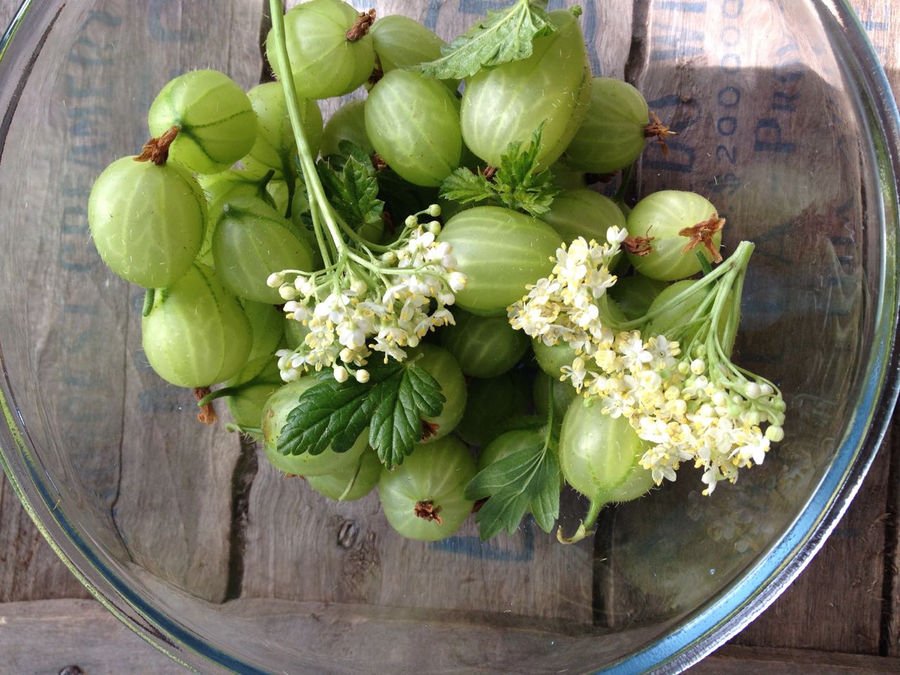 Gooseberries and Elderflowers Photo © Evie Saffron Strands