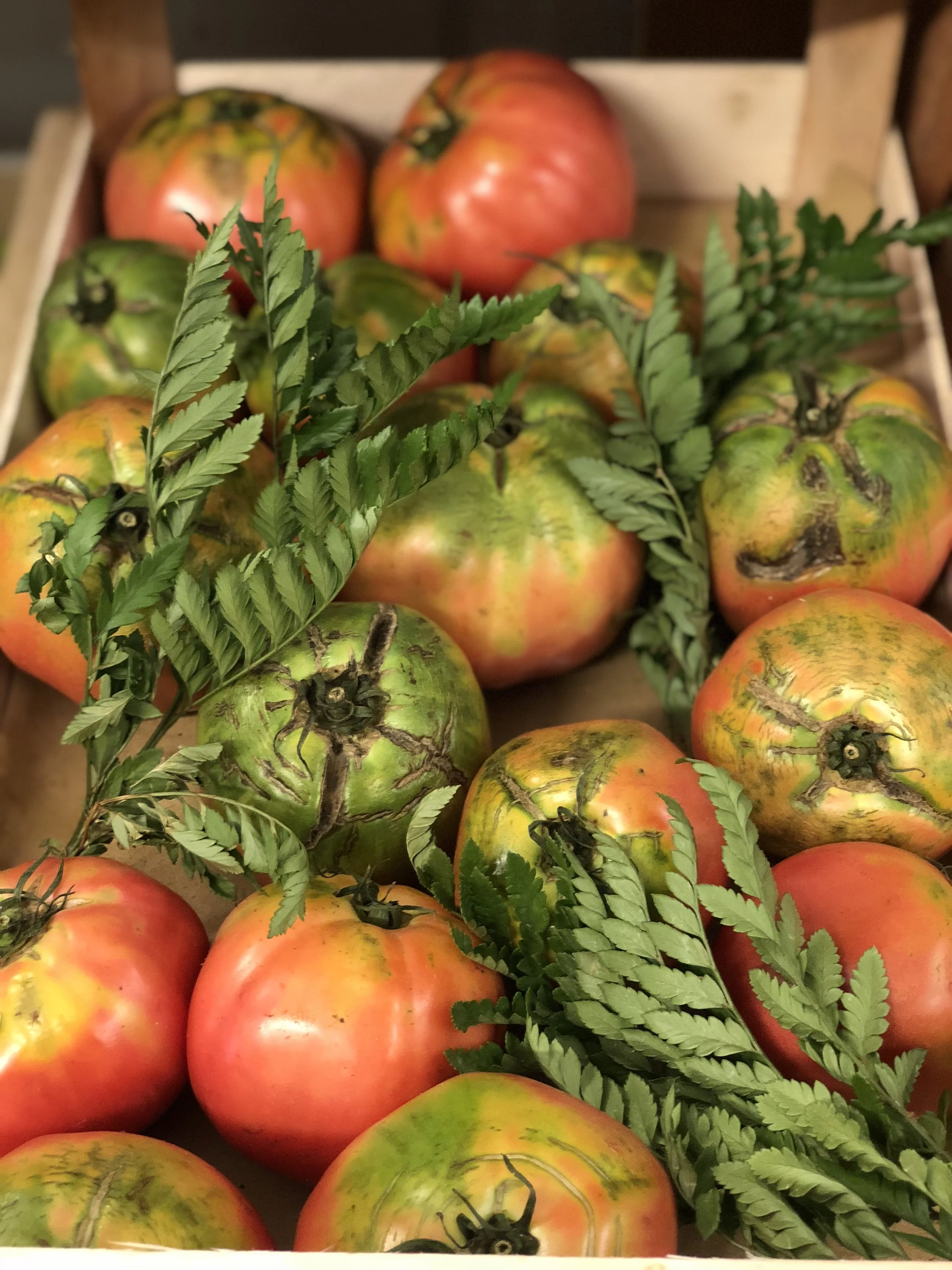 Vesuvius tomatoes Photo © Puntarelle&Co Tomatoes What started out as small bitter berries growing wild in western desert areas of South America, were domesticated by the Aztecs and transformed into tomatl (plump fruit). Despite the fact Tomatoes were first brought to Spain from Mexico in the 15th century, they were viewed with suspicion here until the 19th century. We took much more readily to the imported potatoes and tobacco, despite the fact all three belong to the same plant family – Nightshade. It was the tomato’s perceived resemblance to Deadly Nightshade that held up our acceptance of what is now a firm favourite on our continent. Good Tomatoes are the defining taste of summer and now is the time eat your fill and preserve, preserve, preserve. The tastiest tomato is rarely the best-looking one – but then beauty is in the beholder. The more imperfect its appearance, the more interesting its flavour can be. Store them stalk-side down on your kitchen counter, not in the fridge, to enjoy them at their most flavourful. We source most of our tomatoes from Italy and France but when growing conditions are right – as they surely are this year – we buy English ones too. Now, in late July, Italy is to the fore. You will find the Sorrento , grown in the rich volcanic soil around Mount Vesuvius - don’t be fooled by their scarred appearance, their fleshiness and taste is exceptional; the meaty Cuore di Bue (ox heart), originally grown in Liguria, are coming in from Sicily now; Cherry and Datterini are here too. As I write we are keeping our eyes peeled for good English tomatoes for this week’s selection. The Tomato’s relatively low-sugar content for a fruit (3%), along with its high amounts of savoury glutamic acid, is why we treat it most often as a vegetable. Rich in Vitamin C, the red varieties deliver a high does of the antioxidant Carotenoid Lycopene. Studies have shown that concentrating tomatoes down into a paste or sauce makes the antioxidant particularly potent. The sweet/acid character of tomatoes pairs particularly well with herbs like basil, marjoram/oregano, and thyme. The tomato appreciates salt and salty foods like anchovies, cheese and olives and a cream tempers its acidity. In the current hot weather thoughts turn to a soothing cold tomato soup; or peppery Gazpacho; a no-cook Middle Eastern Fattoush bread salad or Greek Feta salad; or simply selecting the ripest tomato in your bag, slicing it, adding salt and a good olive oil. With a little cooking you could have Simon Hopkinson’s Creamed Tomatoes on Toast; a Tomato Risotto – I like the suggestion from Rachel Roddy in her ‘A Kitchen in Rome’ column for The Guardian Cook to add a shot of Martini Rosso for a “nip of sharp sweetness”. https://www.theguardian.com/lifeandstyle/2018/jul/23/rachel-roddy-recipe-tomato-risotto You could stuff large tomatoes with rice and bake them slowly in the oven; make a mousse, a sauce or even a jelly. Bring out the tomato’s fruit nature and make it into a dessert. Kitty Travers includes a recipe in her La Grotta Ices book for Tomato and white peach sorbet which emerges an elegant shade of shell pink, tasting softly sweet and fruity – just the thing for cooling down in this incredibly hot summer.