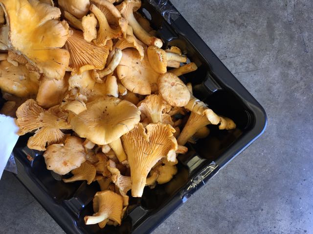 Girolles